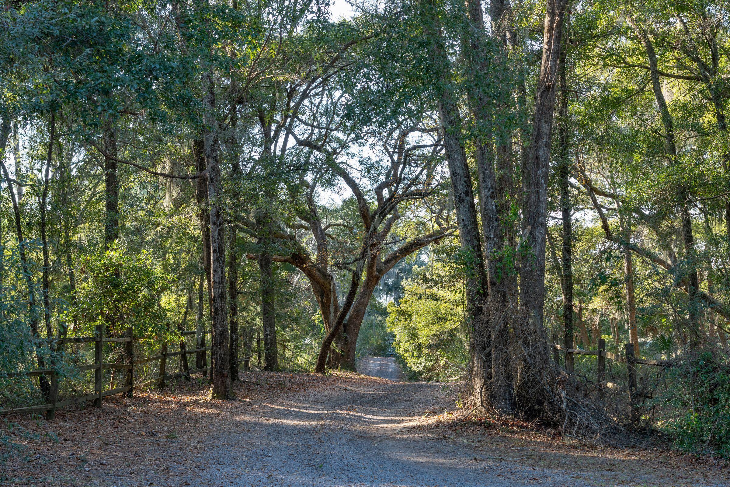 3320 Hopkinson Plantation Road