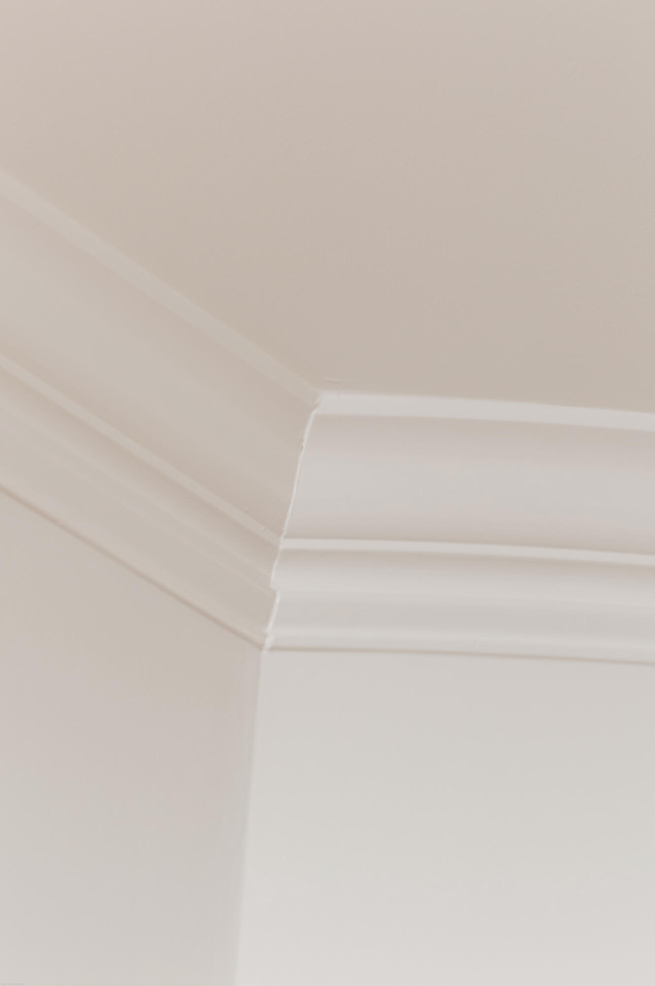 21 George Street # 310