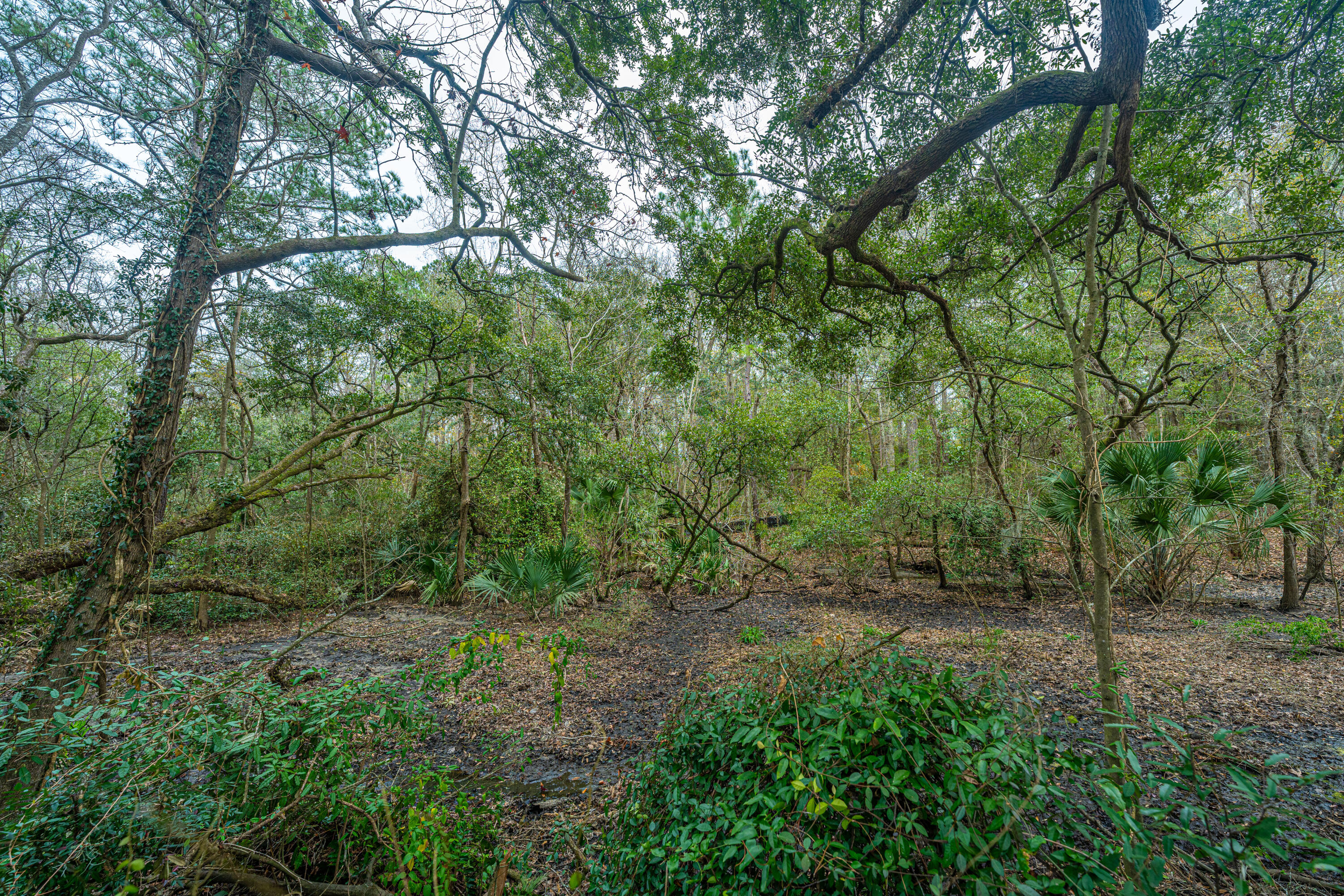 38 Saint Augustine Drive