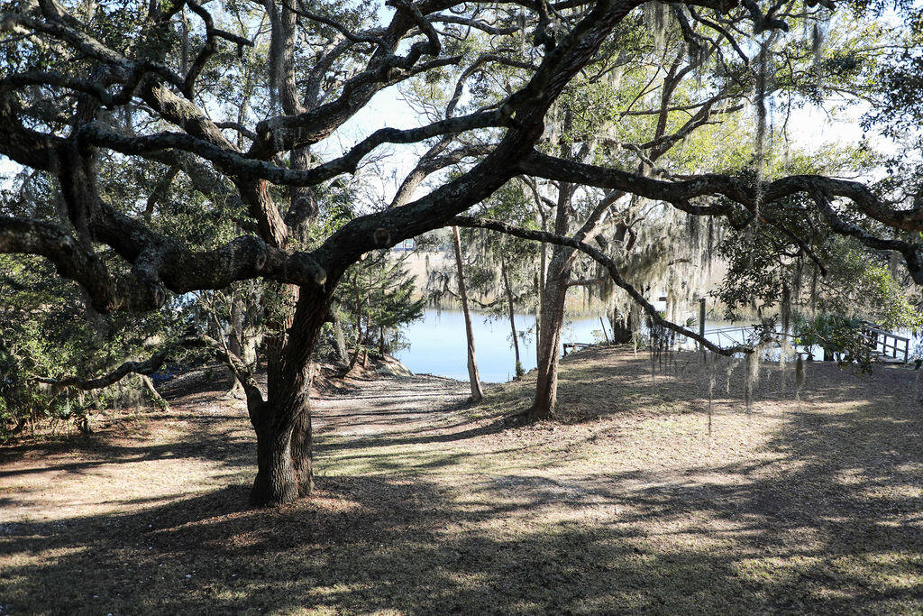 8513 Oyster Factory Road