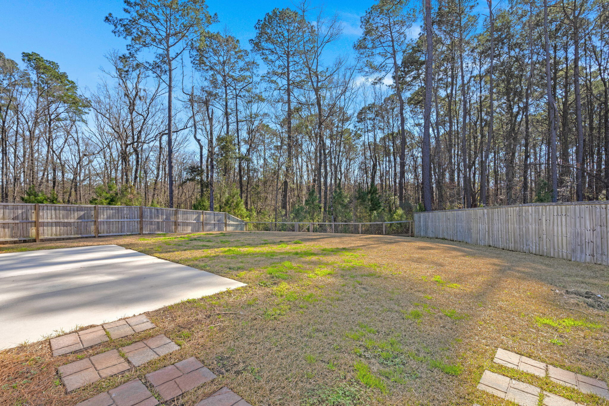 1383 Thin Pine Drive