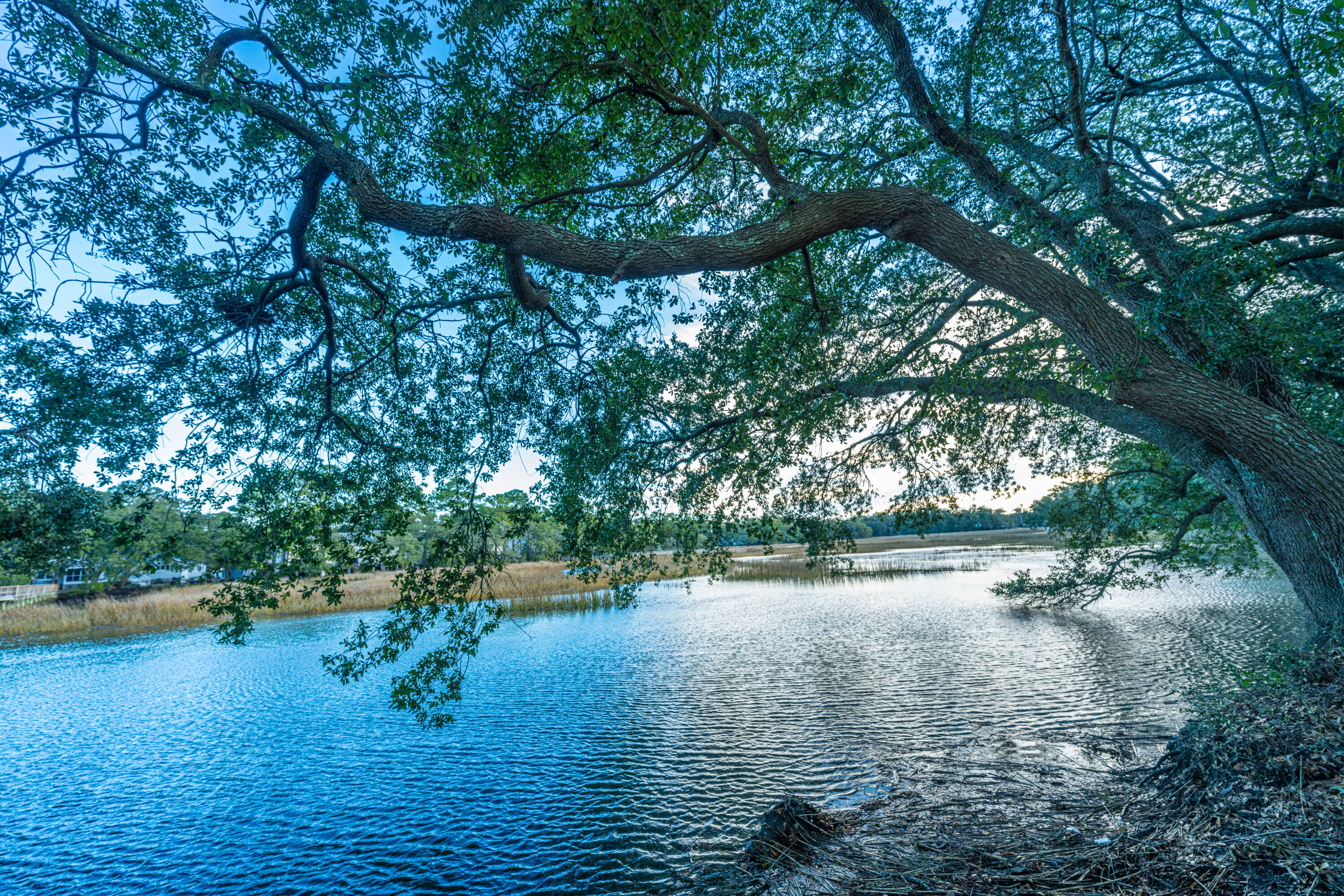 1402 Camp Road # 13d