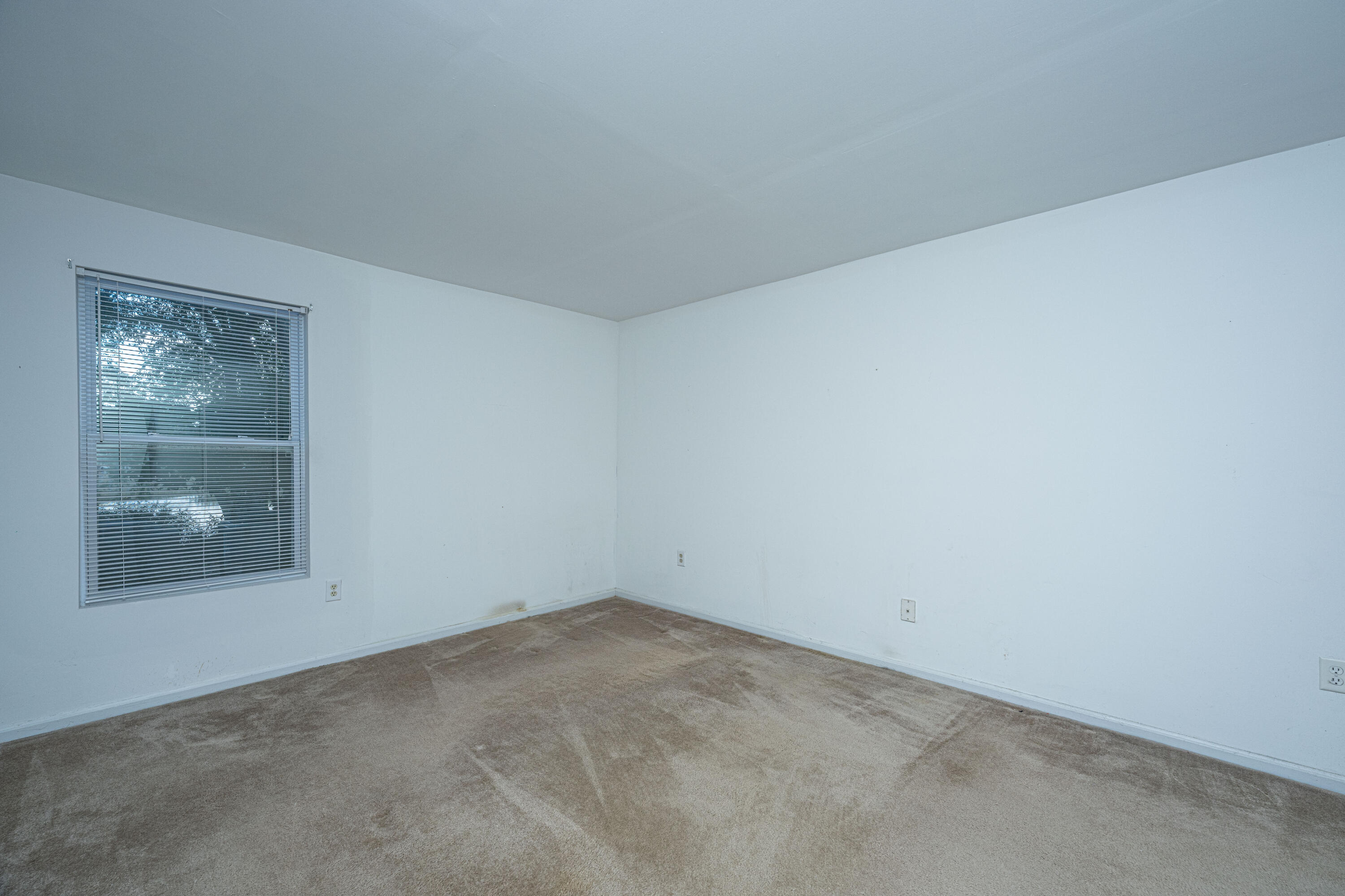 1402 Camp Road # 13d