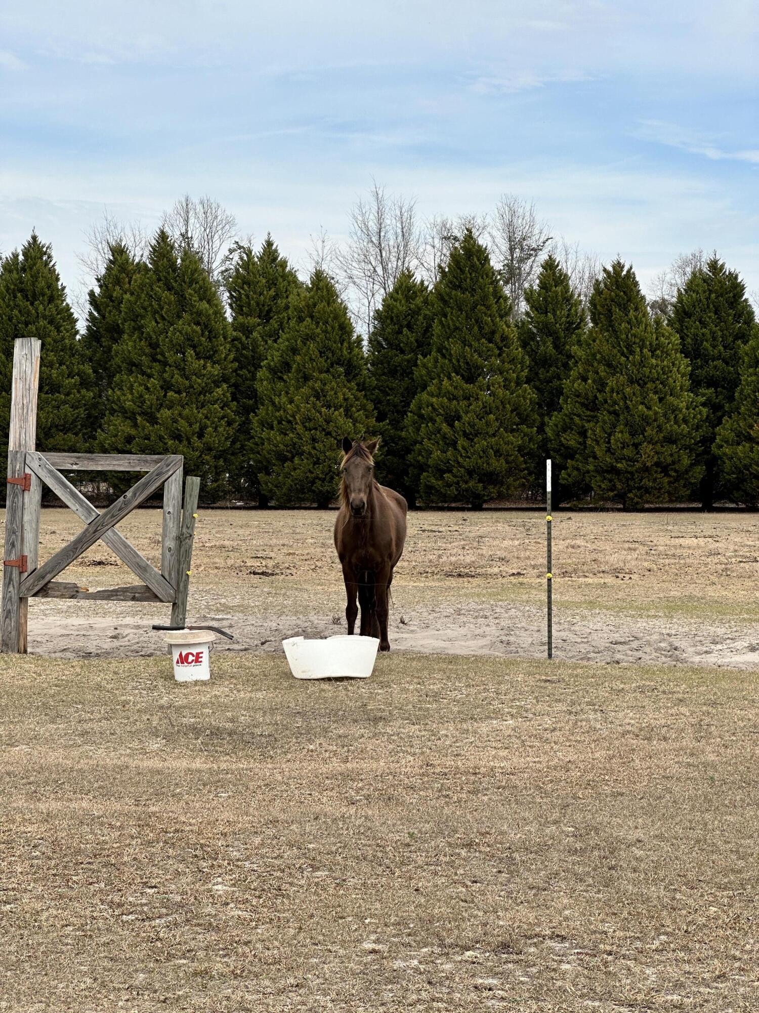 2459 Copper Kettle Lane