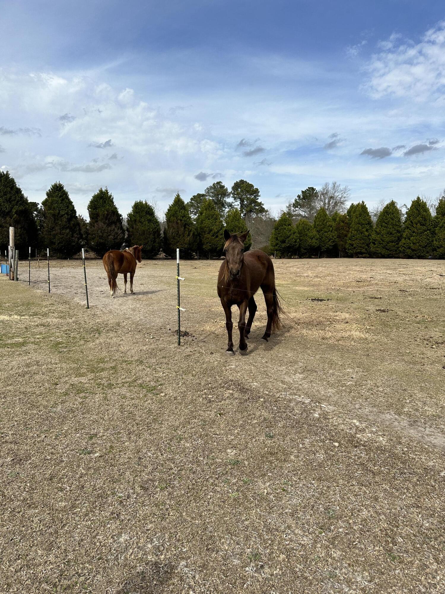 2459 Copper Kettle Lane