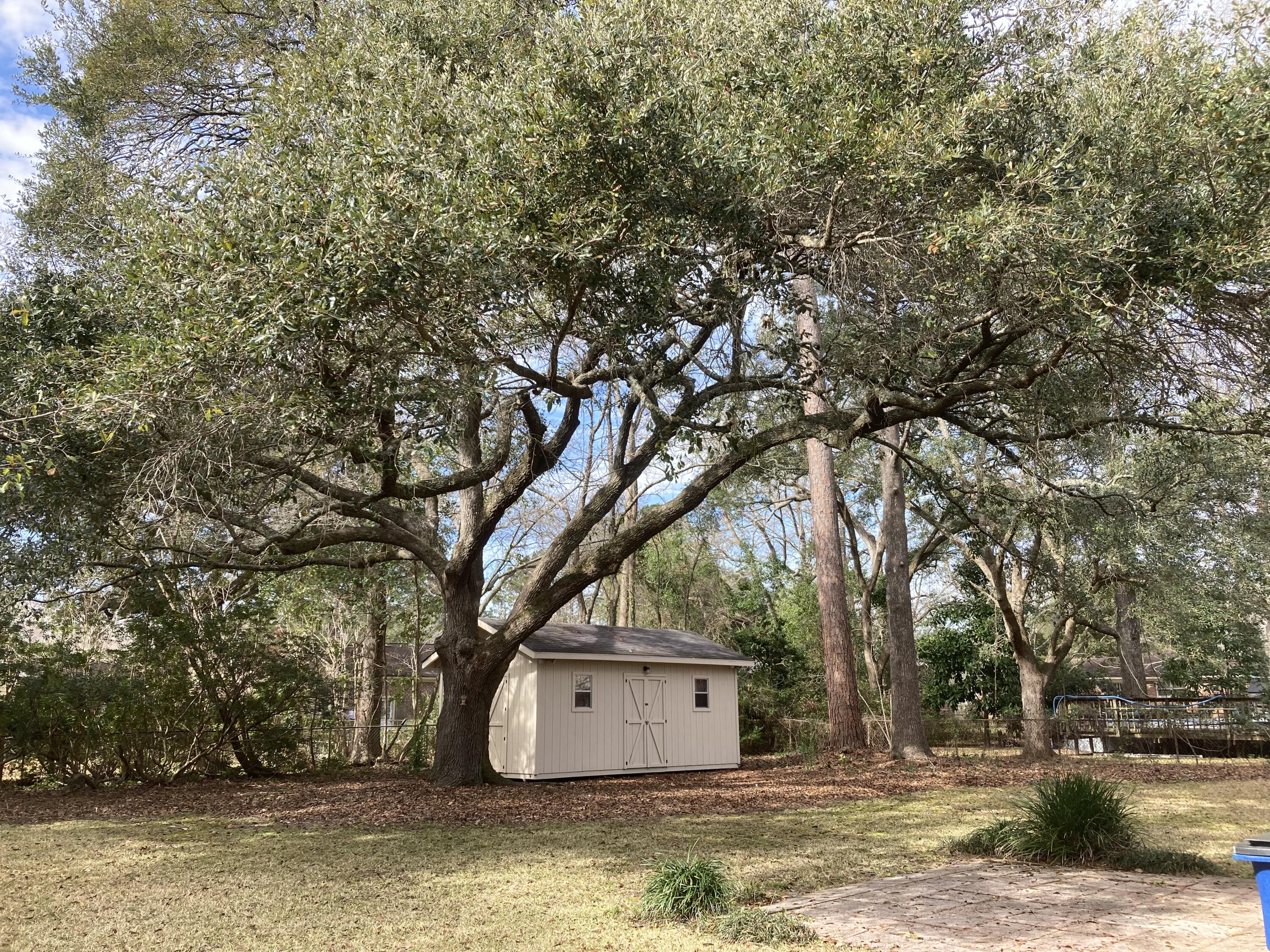 2641 Ridgewood Avenue