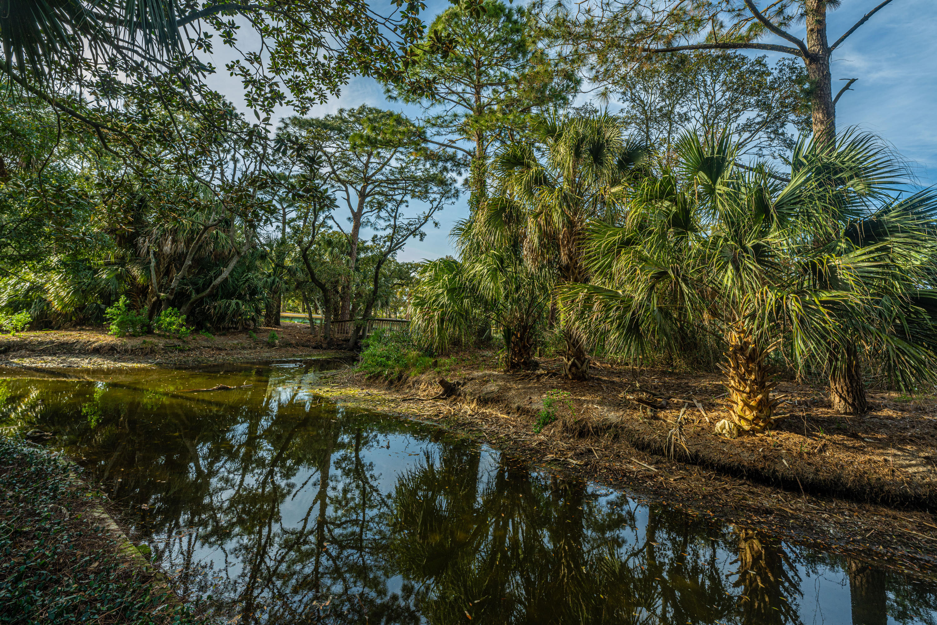 209 Little Oak Drive