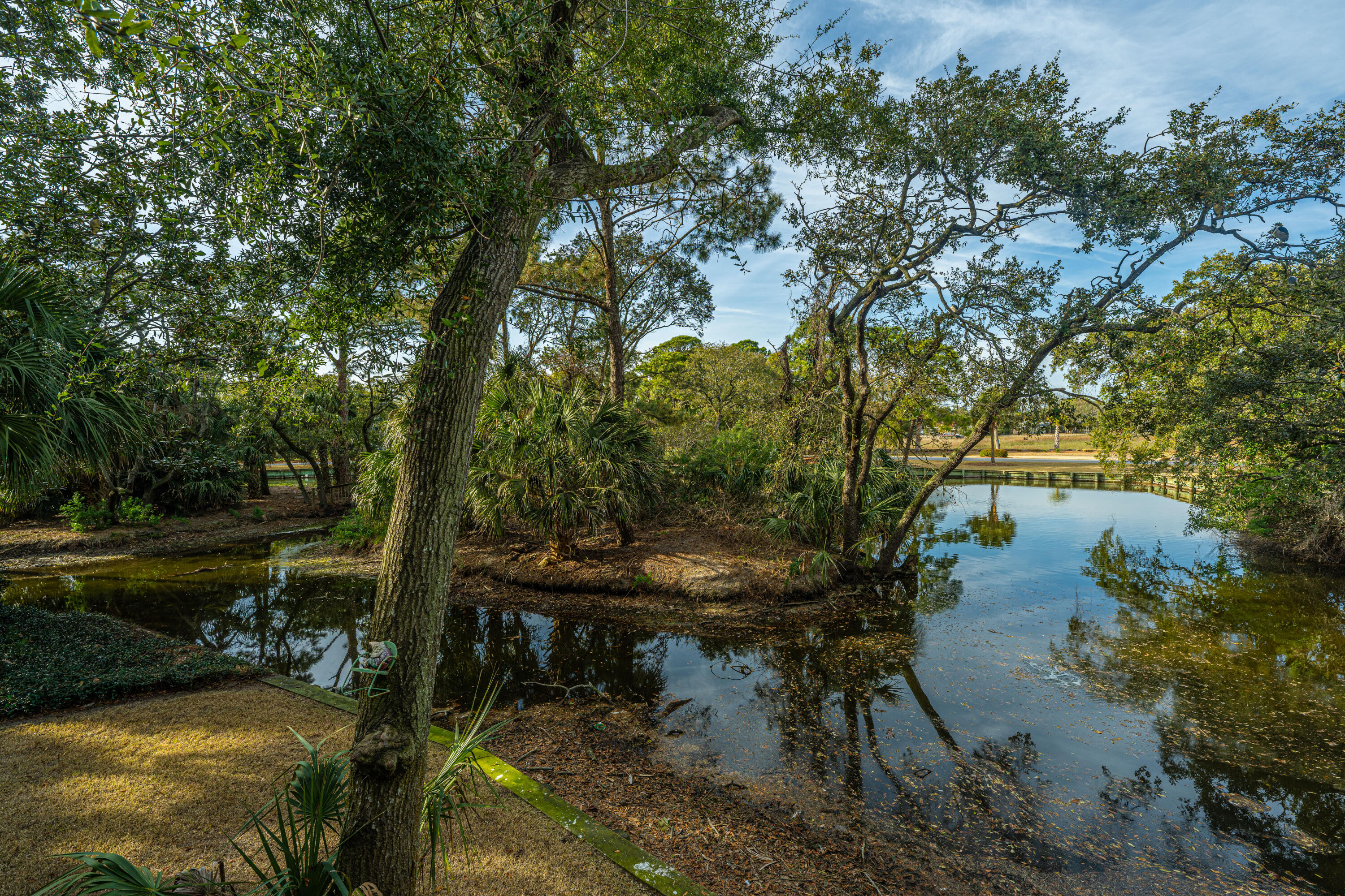 209 Little Oak Drive