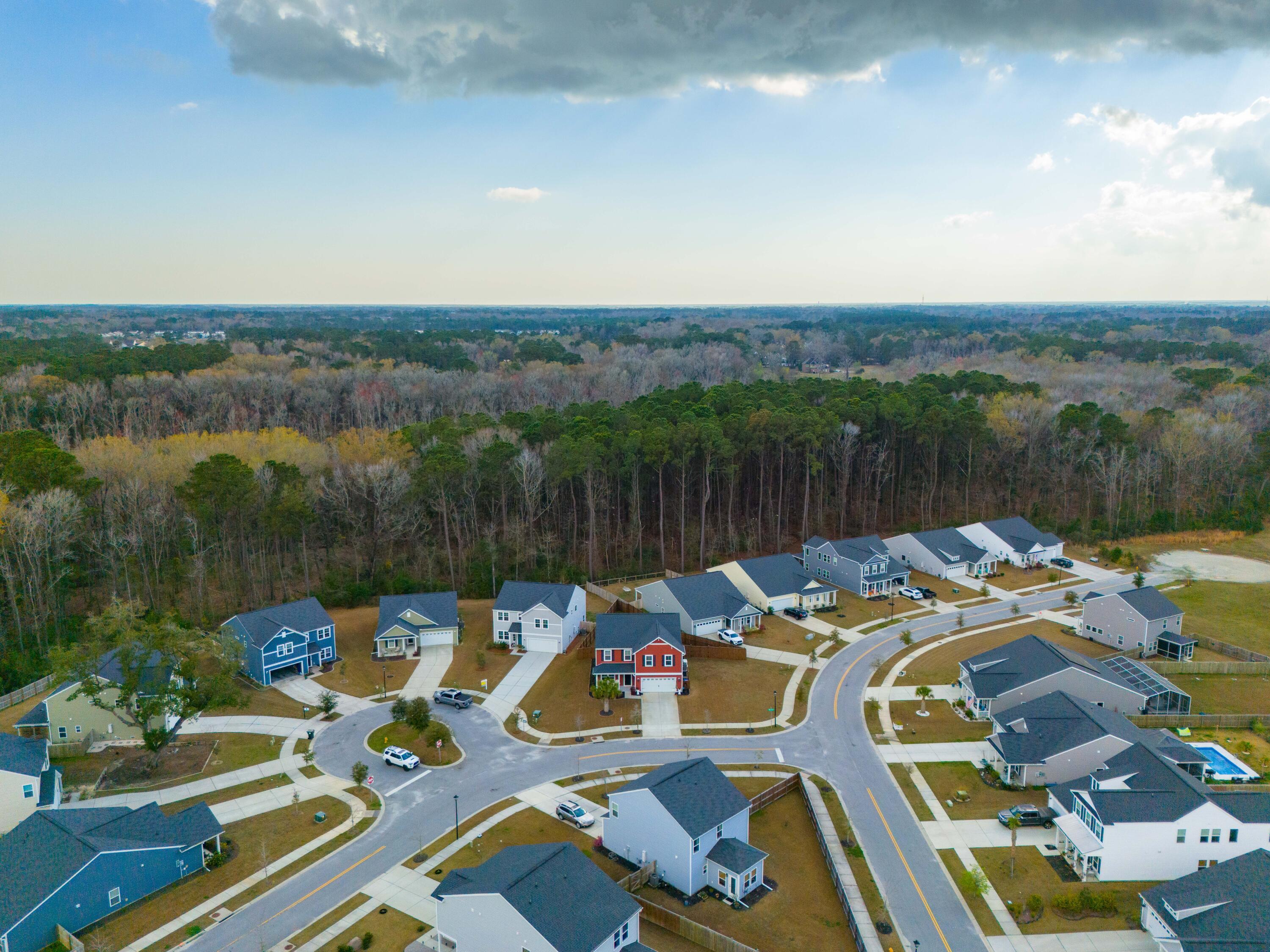 1381 Thin Pine Drive