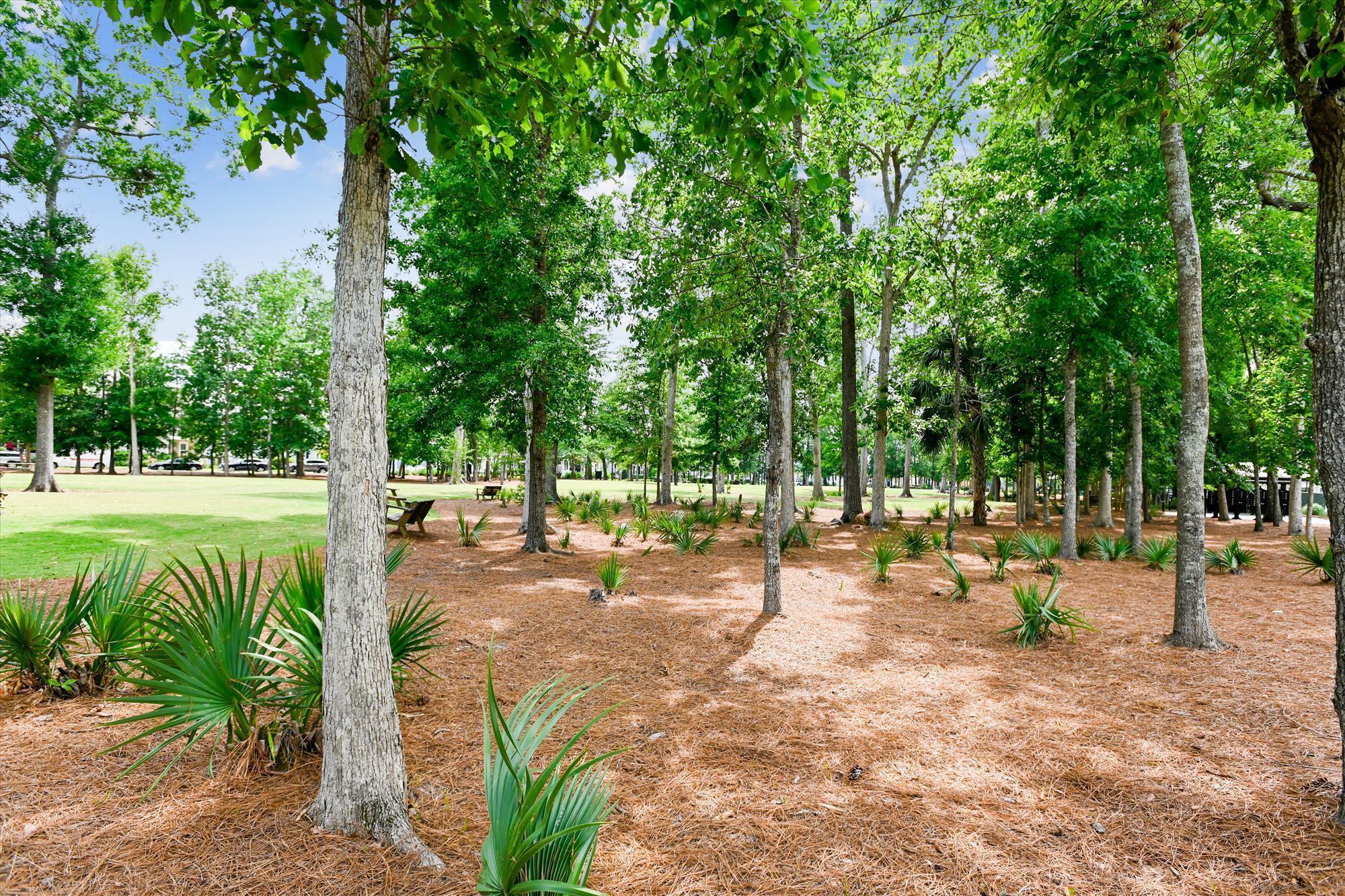 1838 Grovehurst Drive