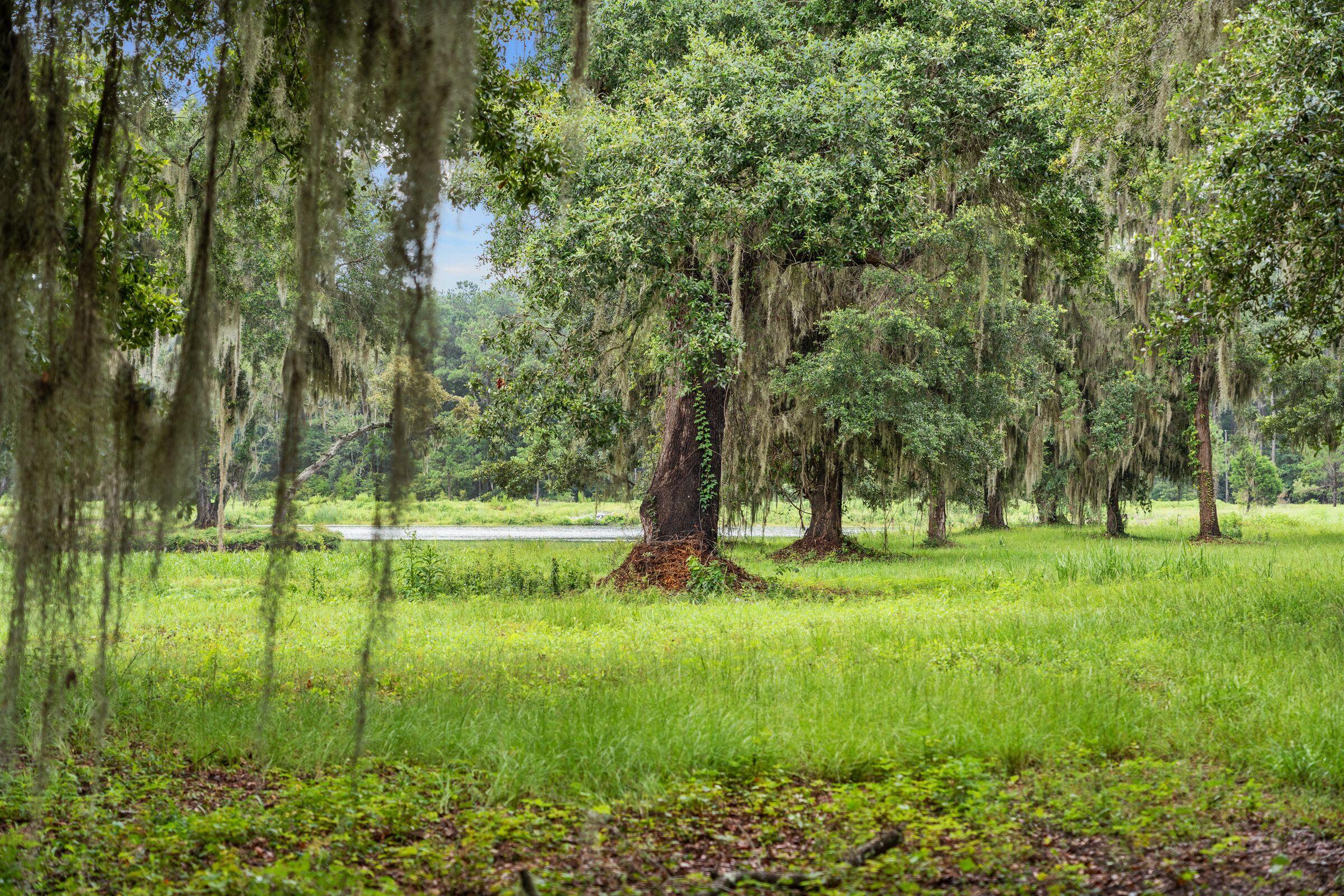 2958 Lodge Berry Lane