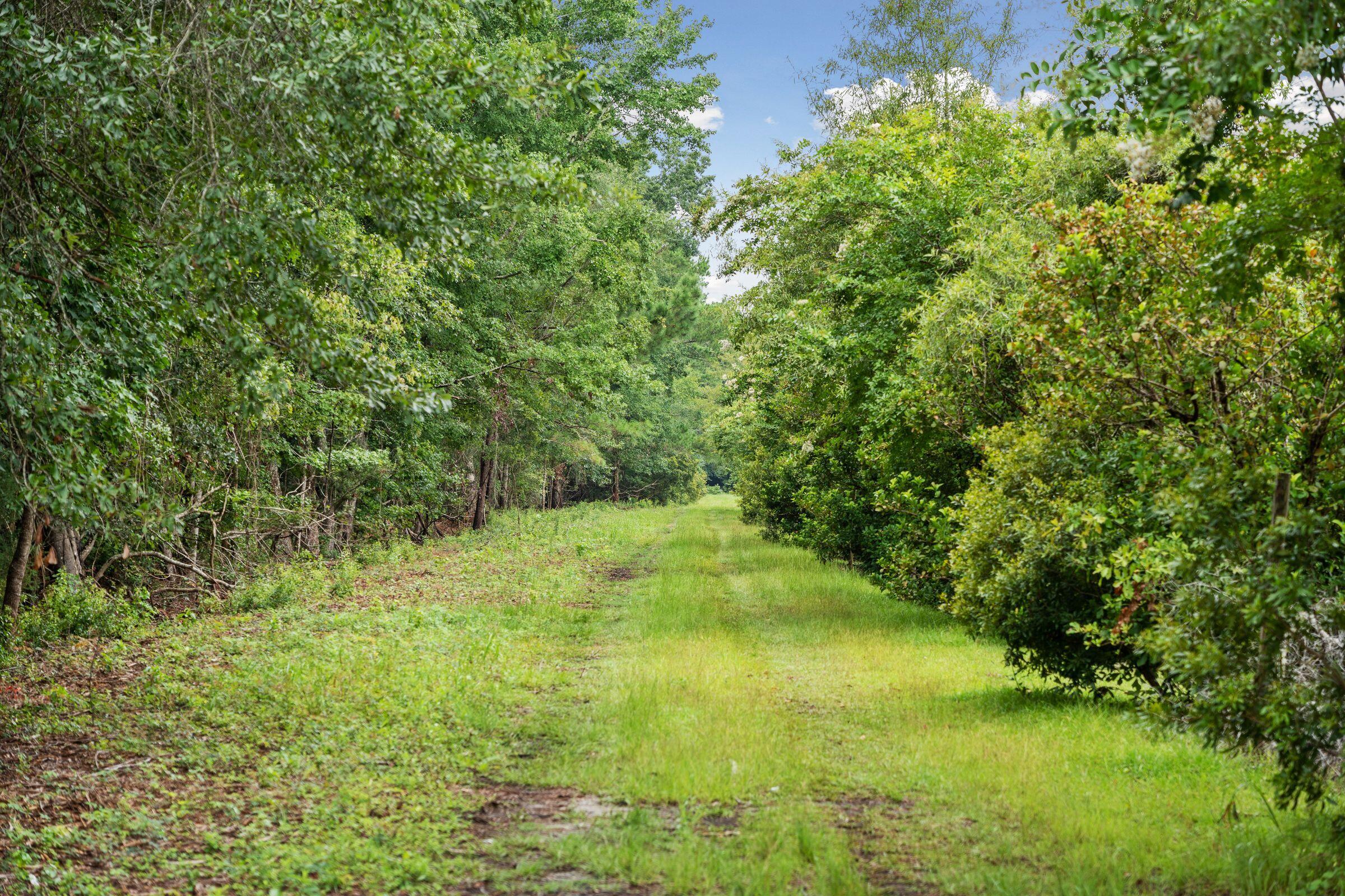 2958 Lodge Berry Lane