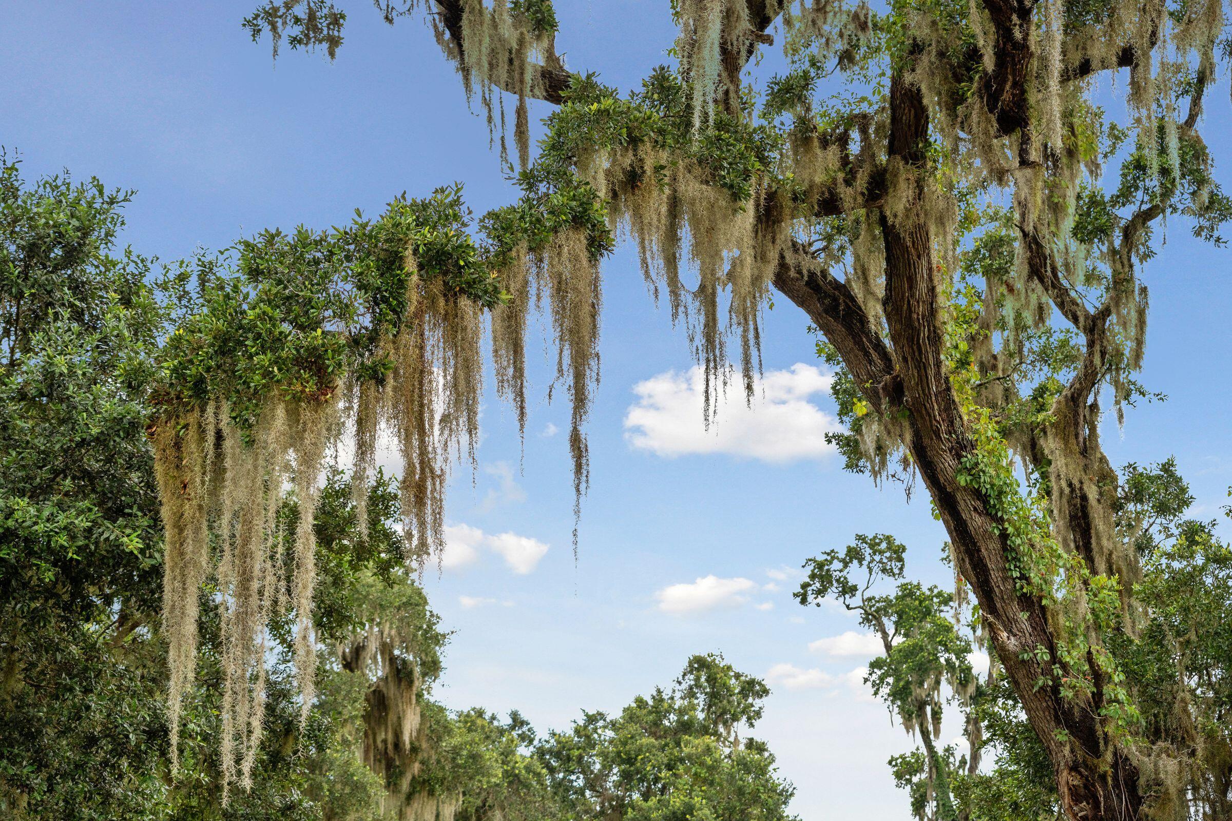 2958 Lodge Berry Lane