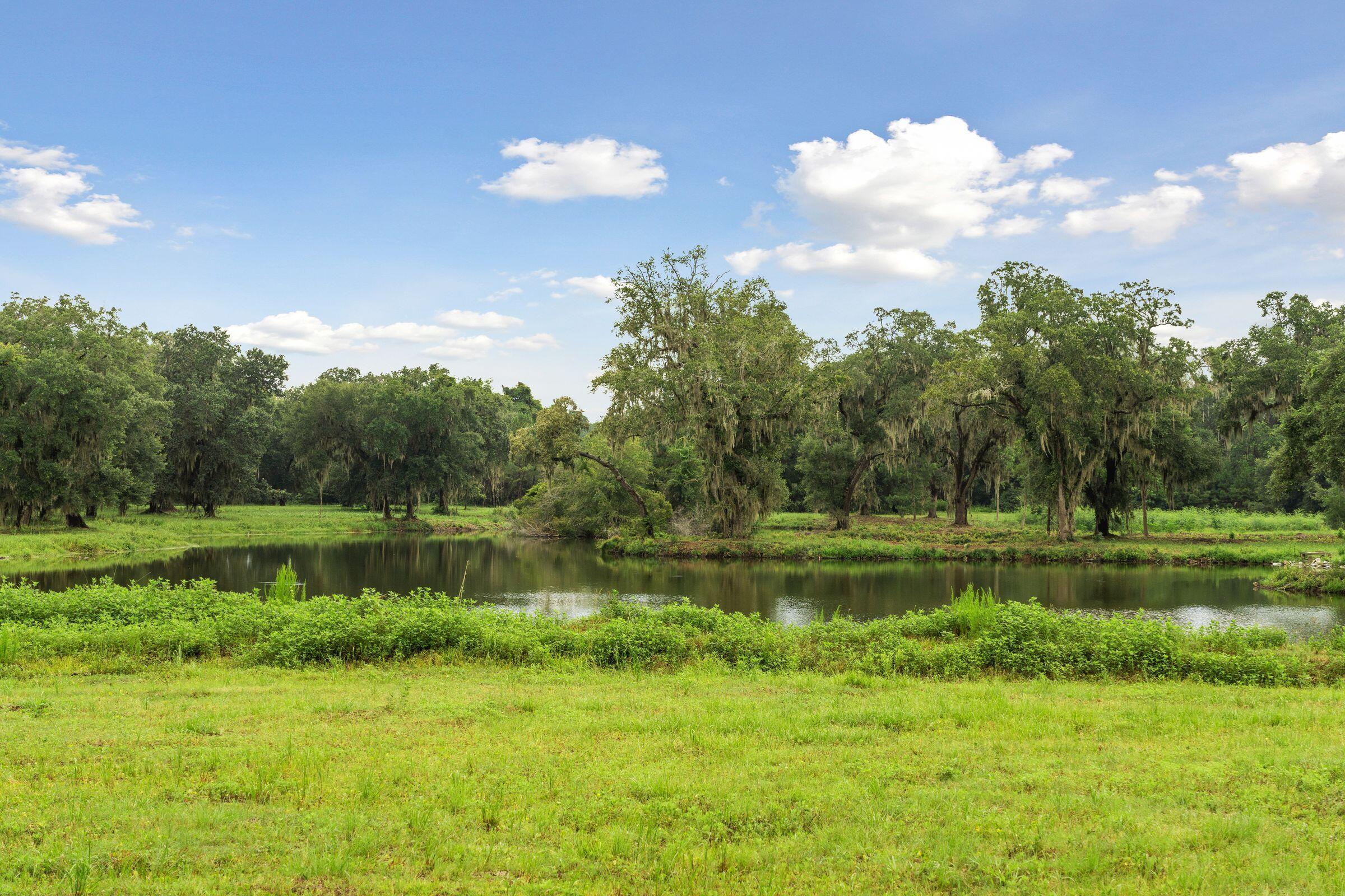 2958 Lodge Berry Lane