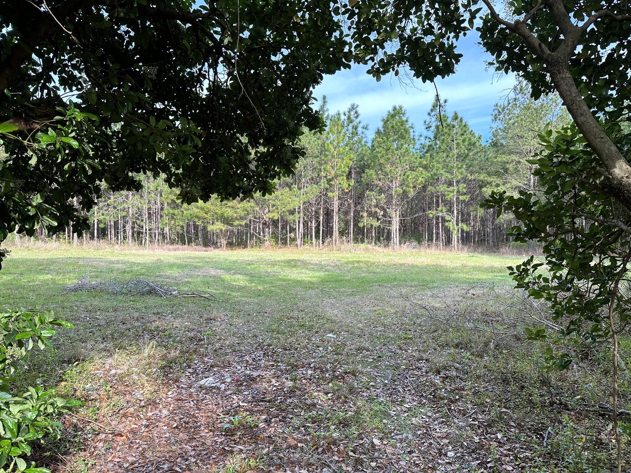 303 Schoolhouse Road