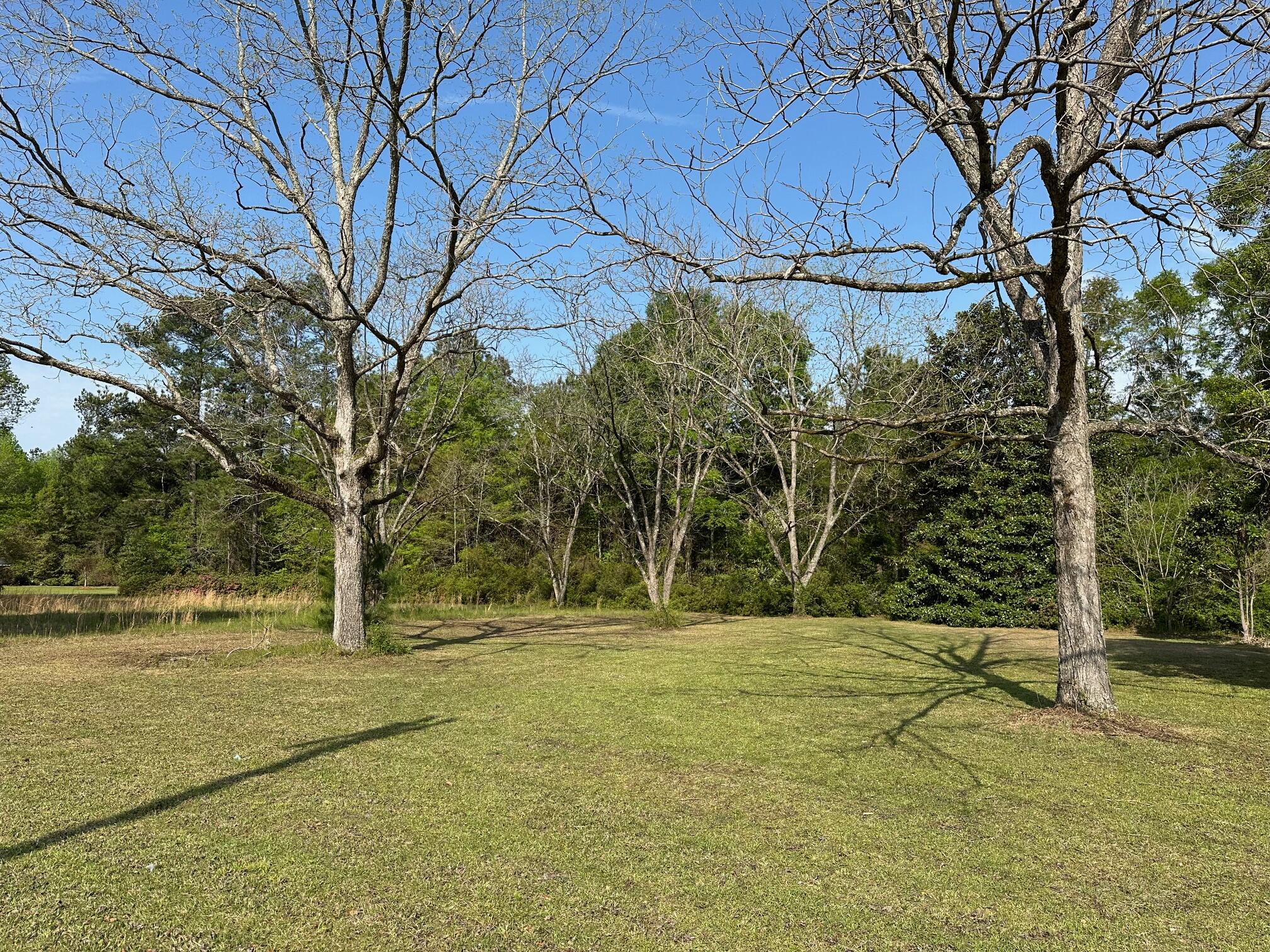 303 Schoolhouse Road