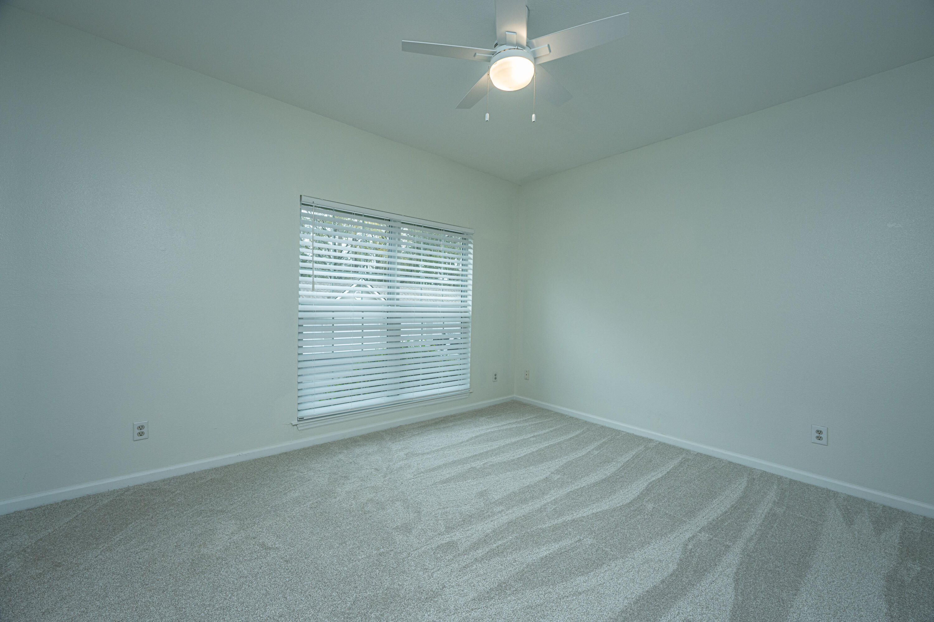 700 Daniel Ellis Drive # 3107