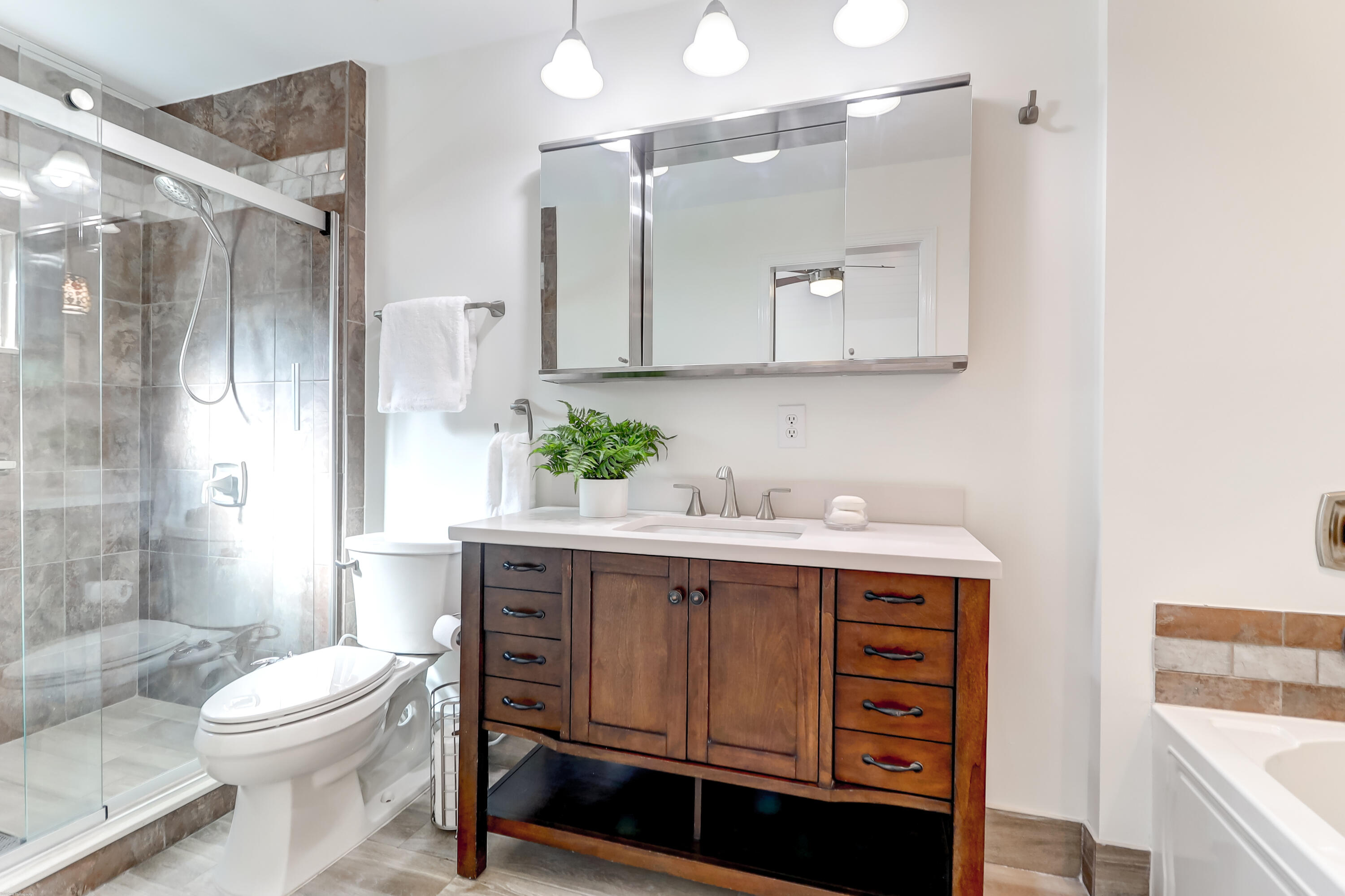 1408 Spanish Moss Court