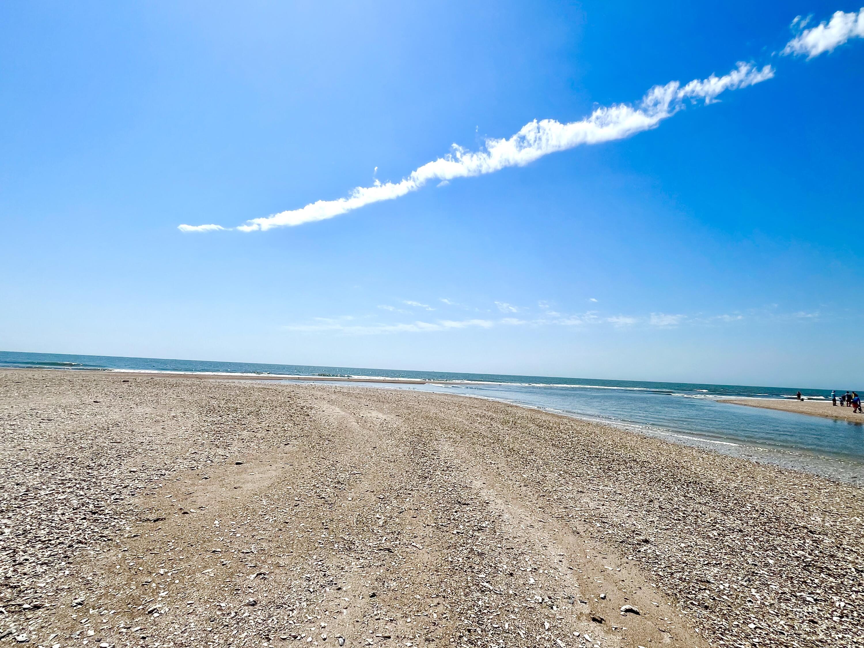 38 Planters Retreat Drive