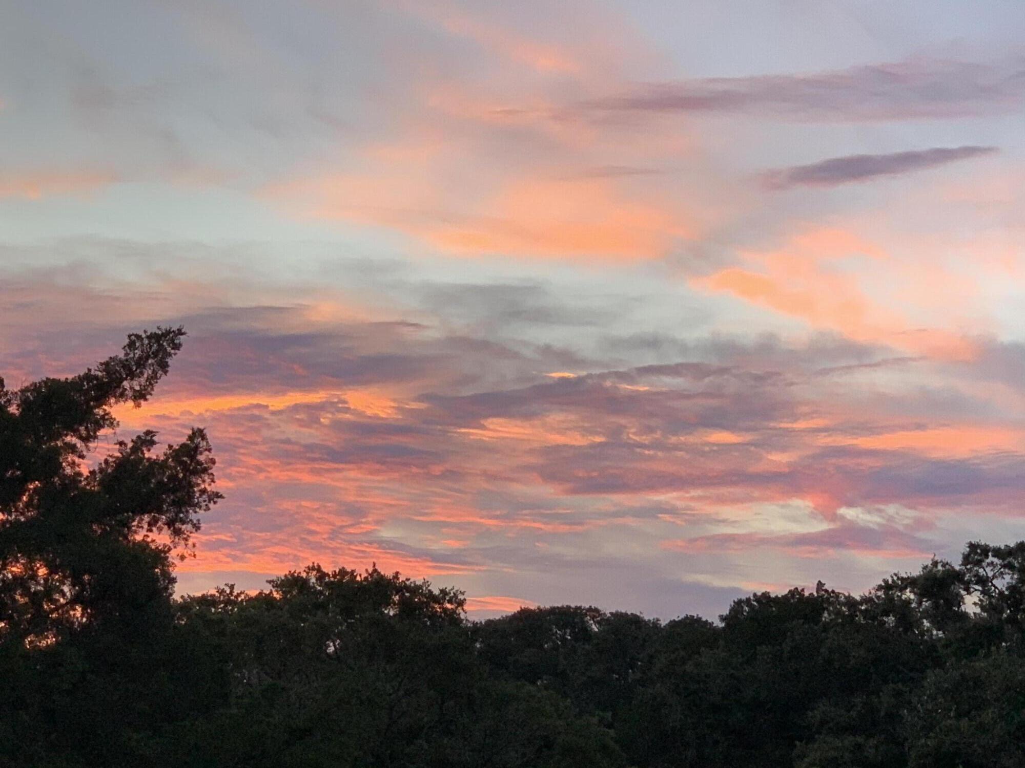 38 Planters Retreat Drive