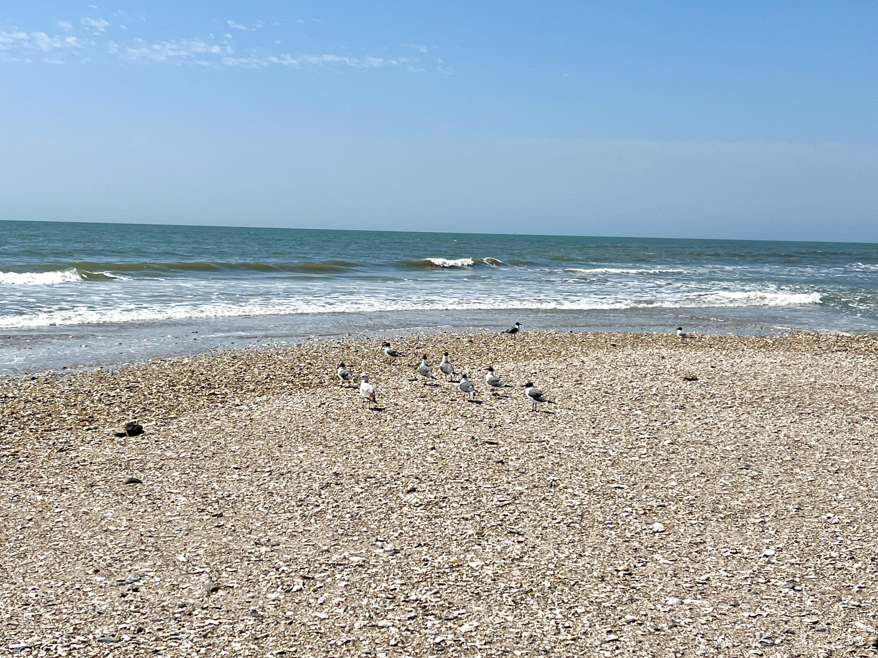 38 Planters Retreat Drive