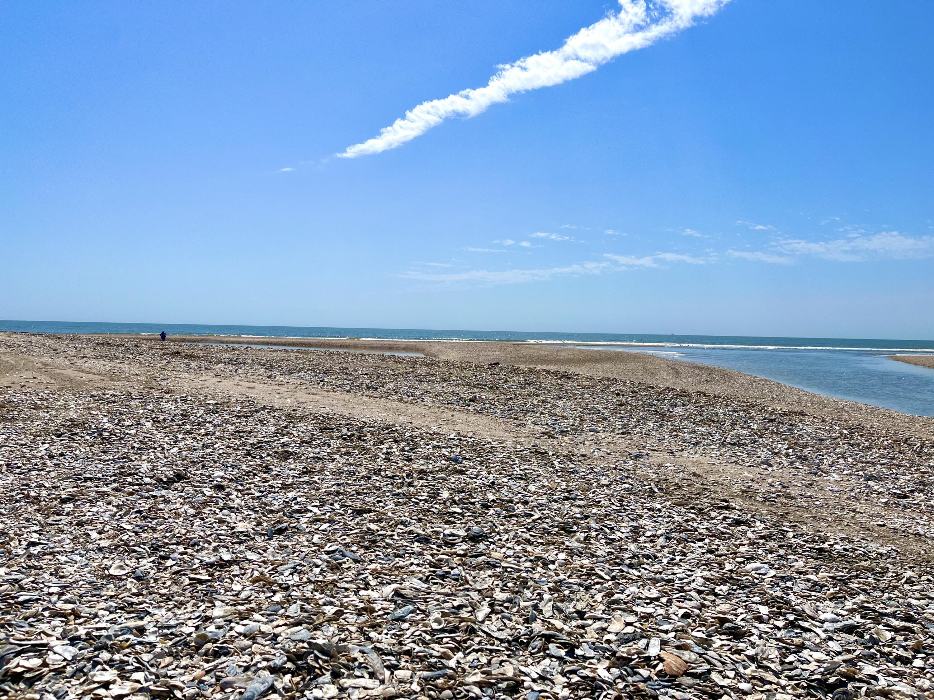 38 Planters Retreat Drive