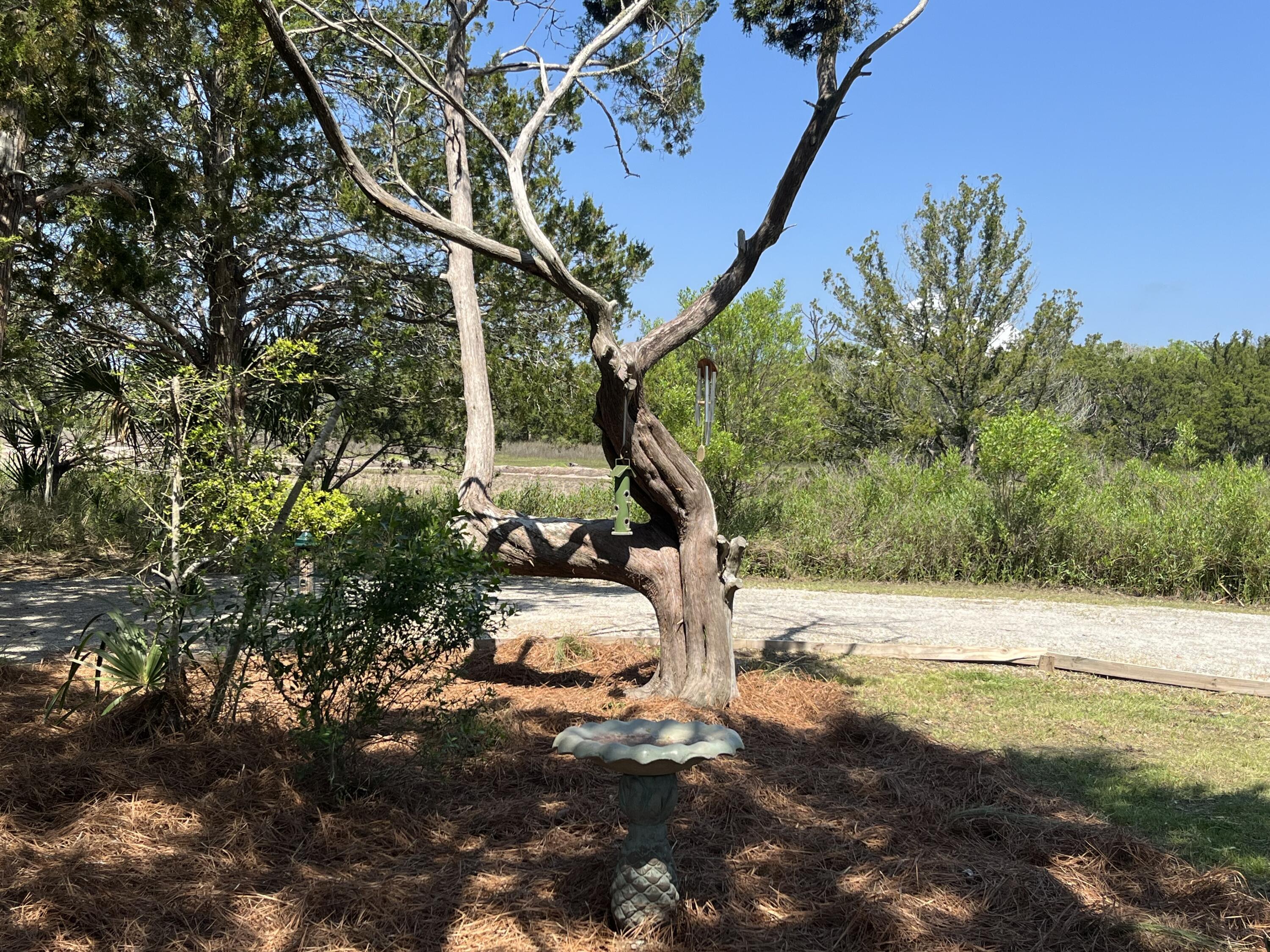 38 Planters Retreat Drive