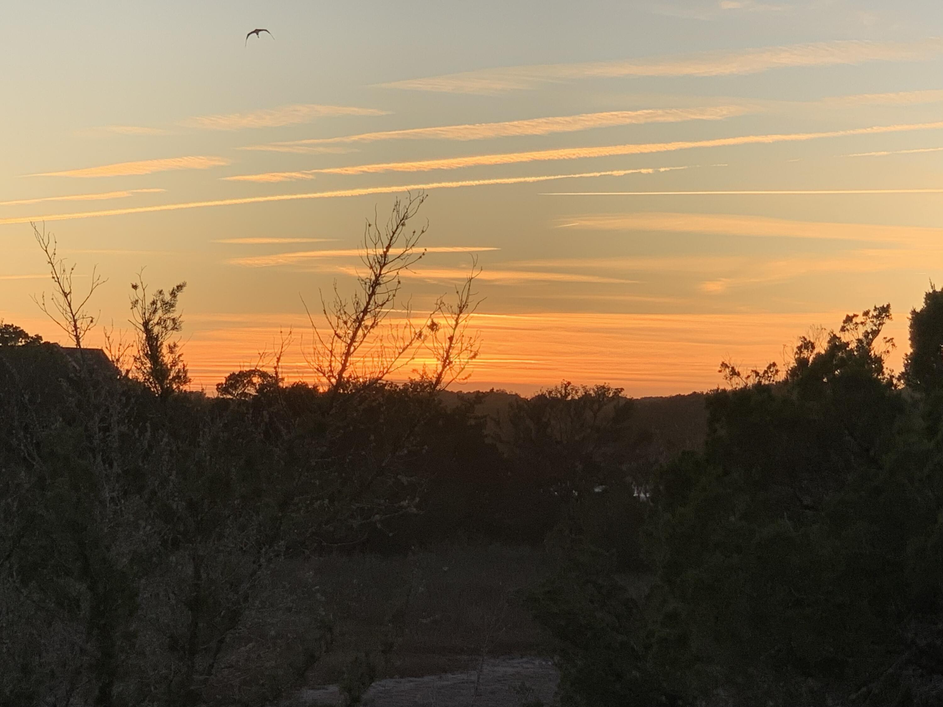 38 Planters Retreat Drive