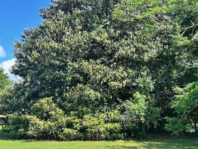 1427 Fort Lamar Road