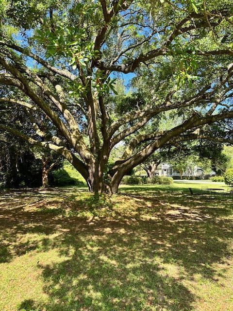 1427 Fort Lamar Road