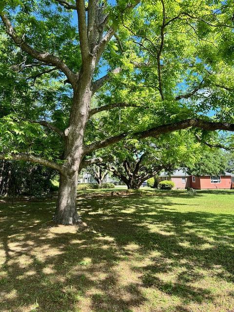 1427 Fort Lamar Road