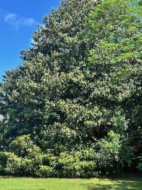 1427 Fort Lamar Road