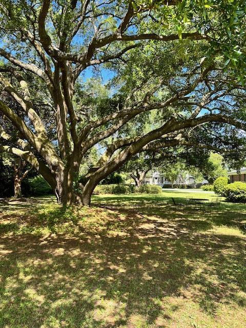 1427 Fort Lamar Road