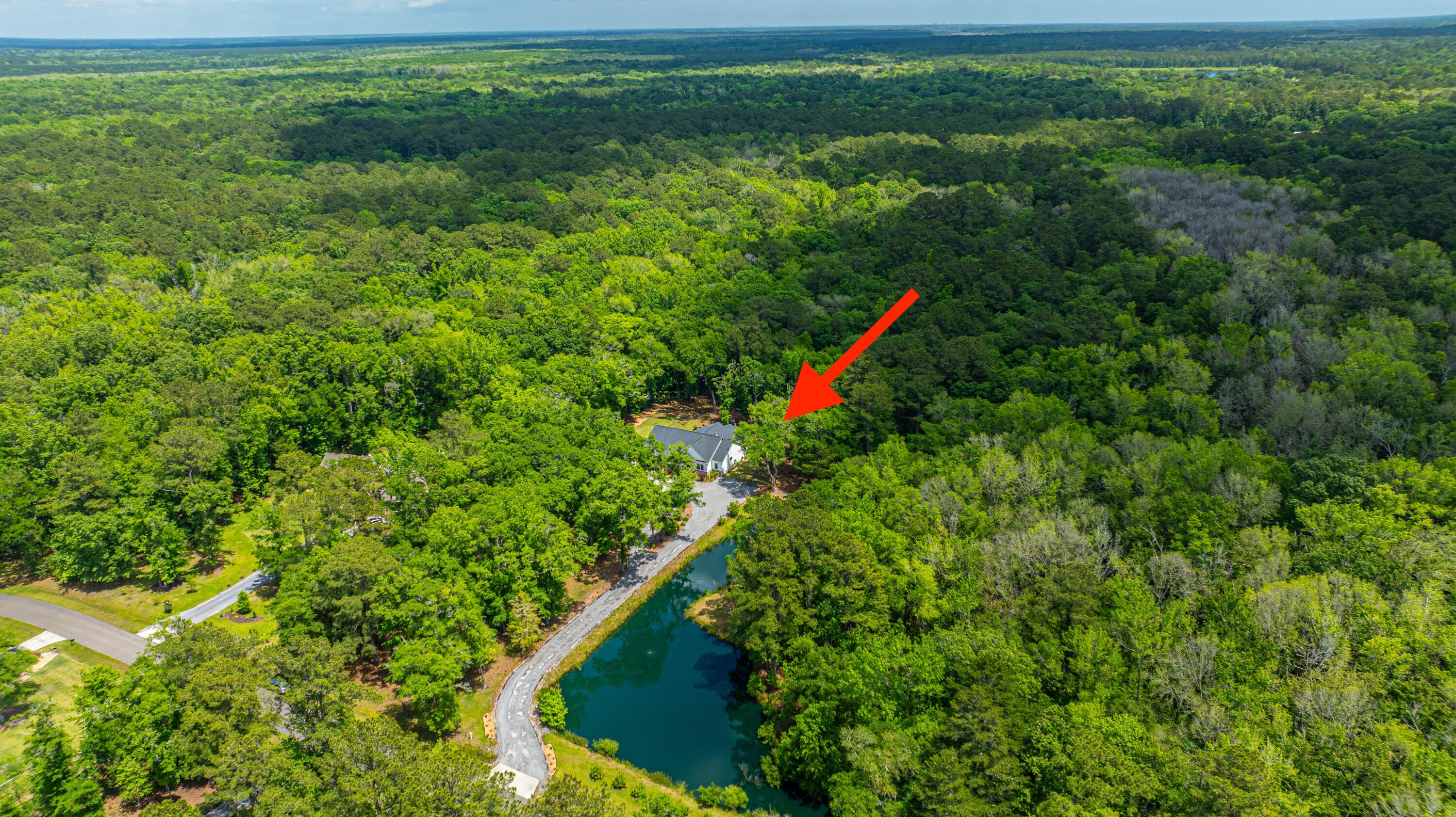 6428 Pepper Grass Trail