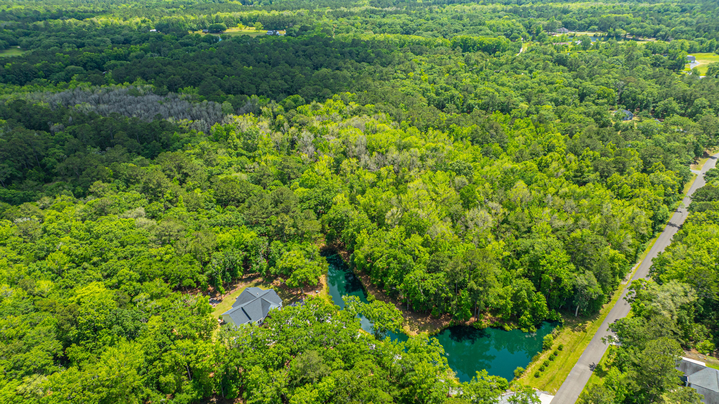 6428 Pepper Grass Trail