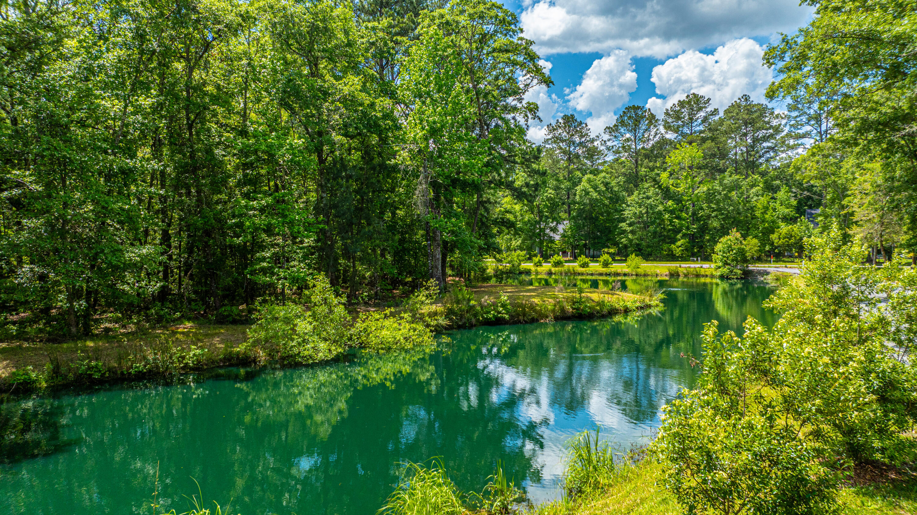 6428 Pepper Grass Trail