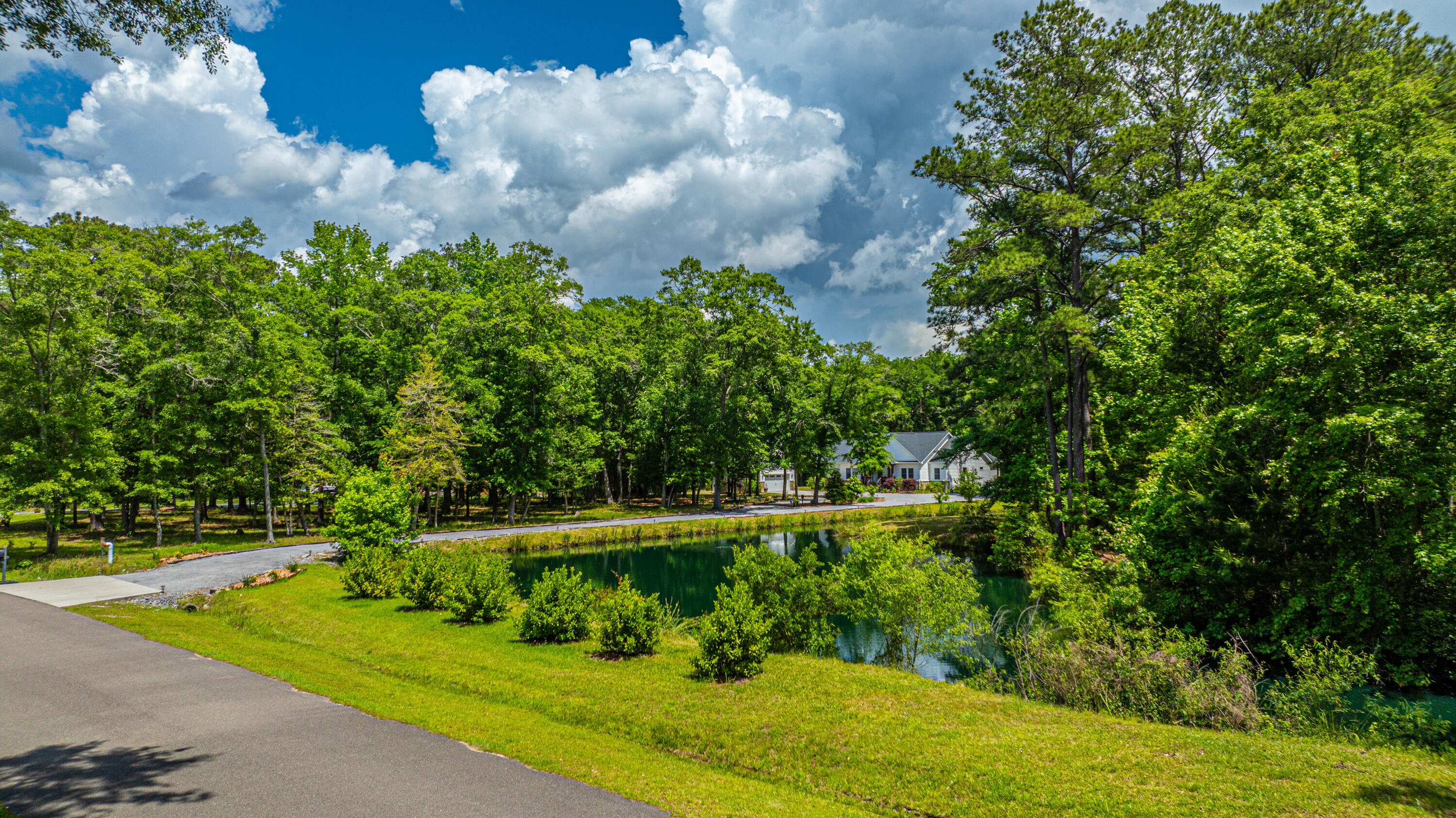 6428 Pepper Grass Trail