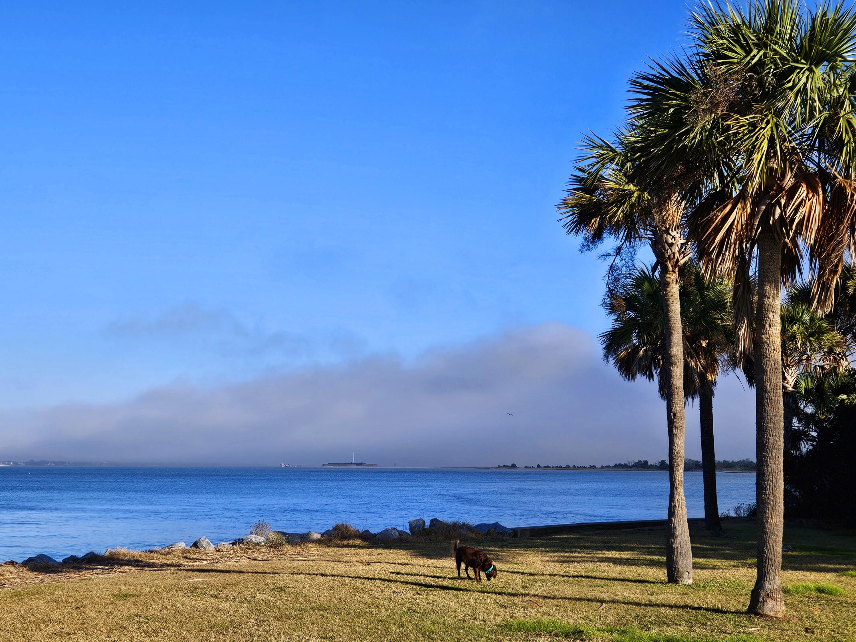 725 Beauregard Street