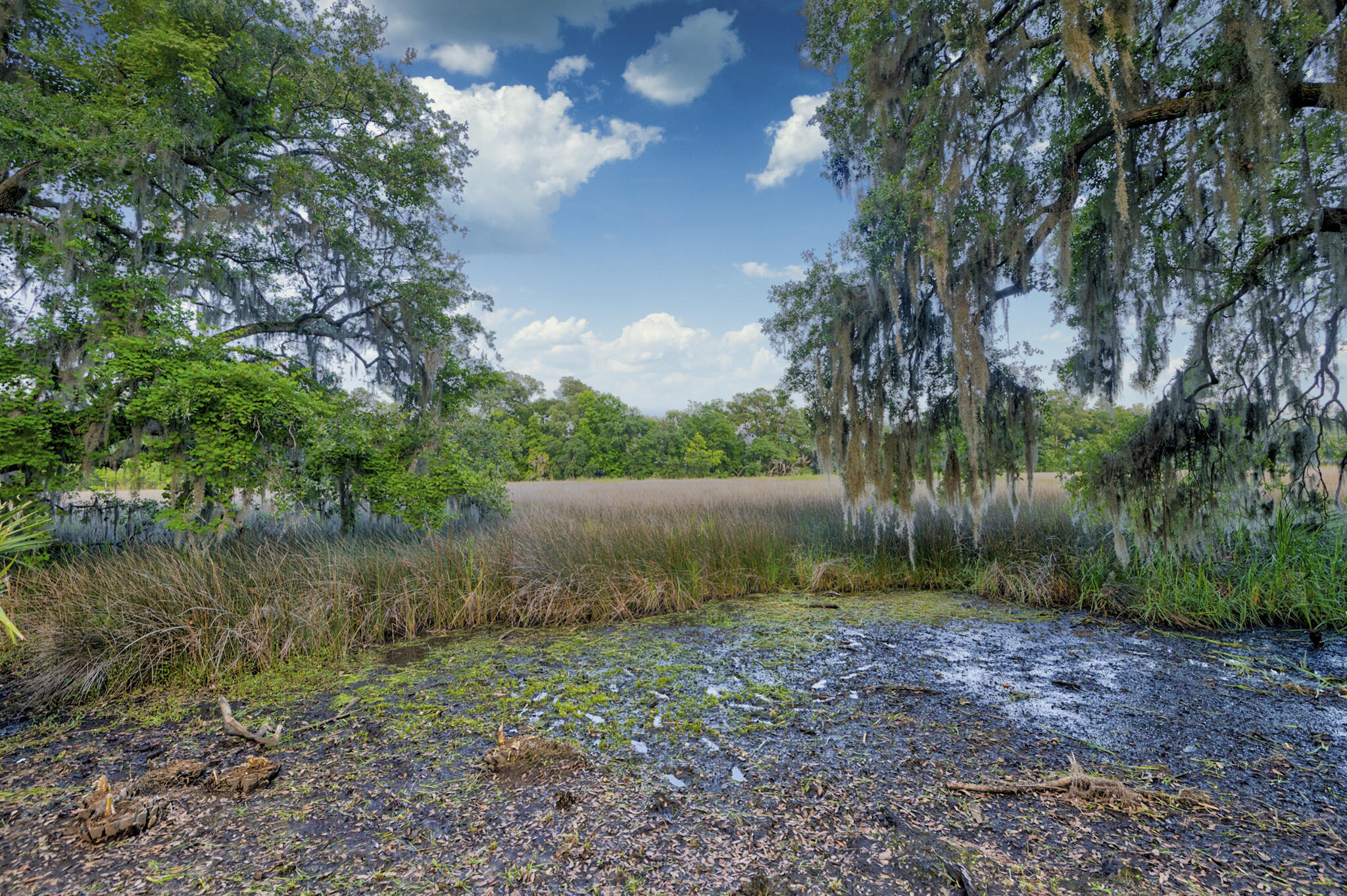 2322 Marsh Lake Court