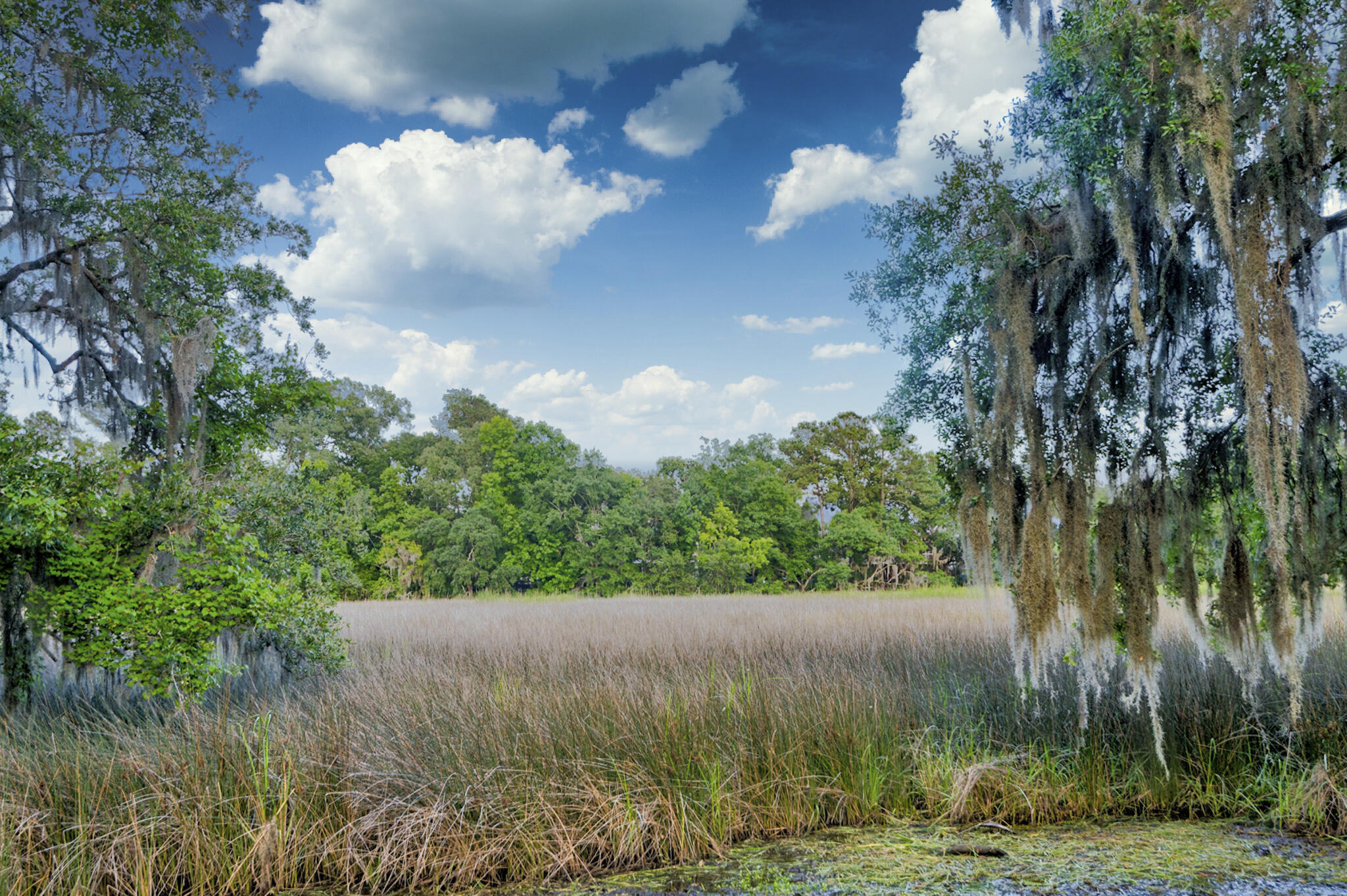 2322 Marsh Lake Court