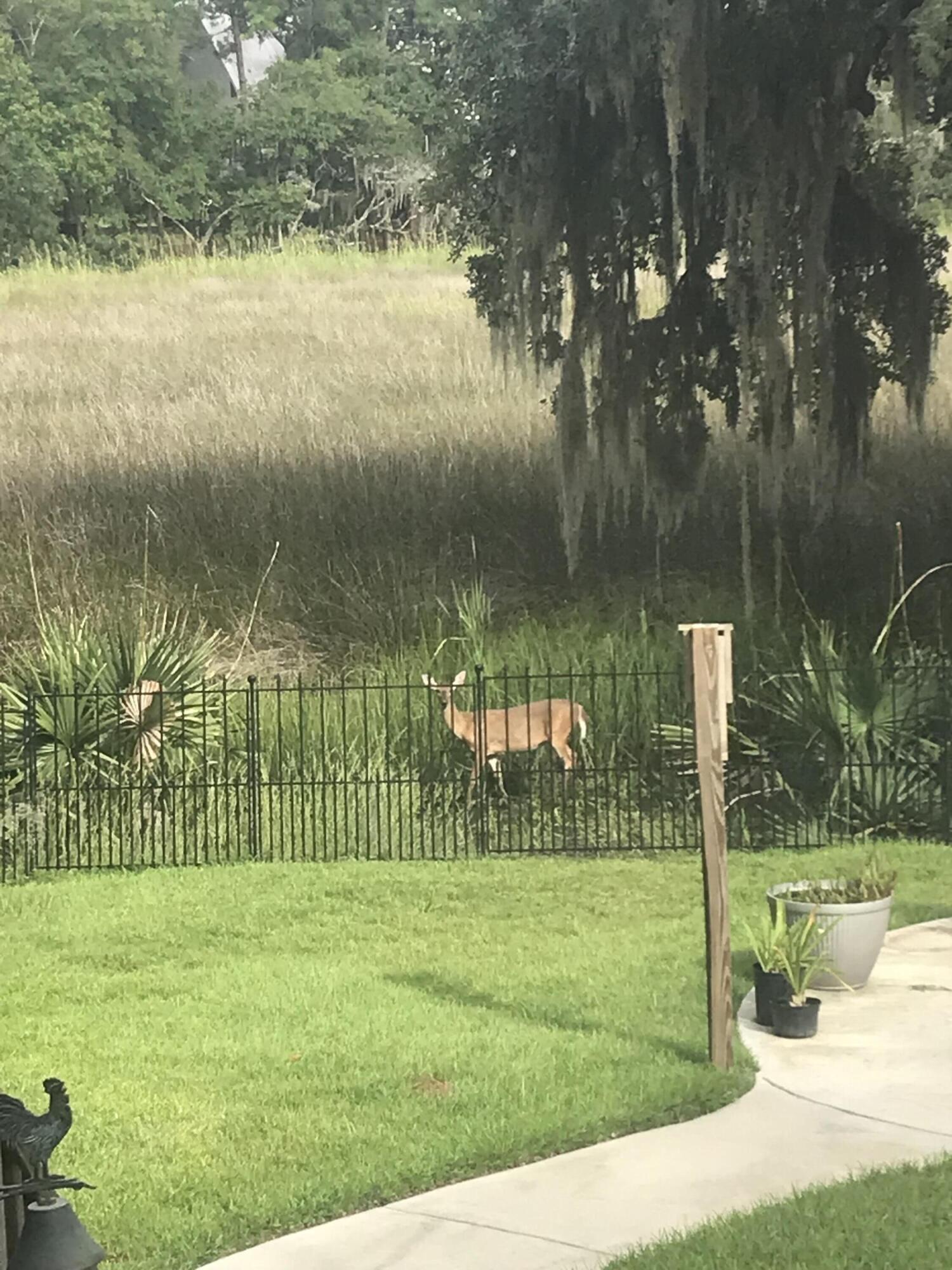 2322 Marsh Lake Court