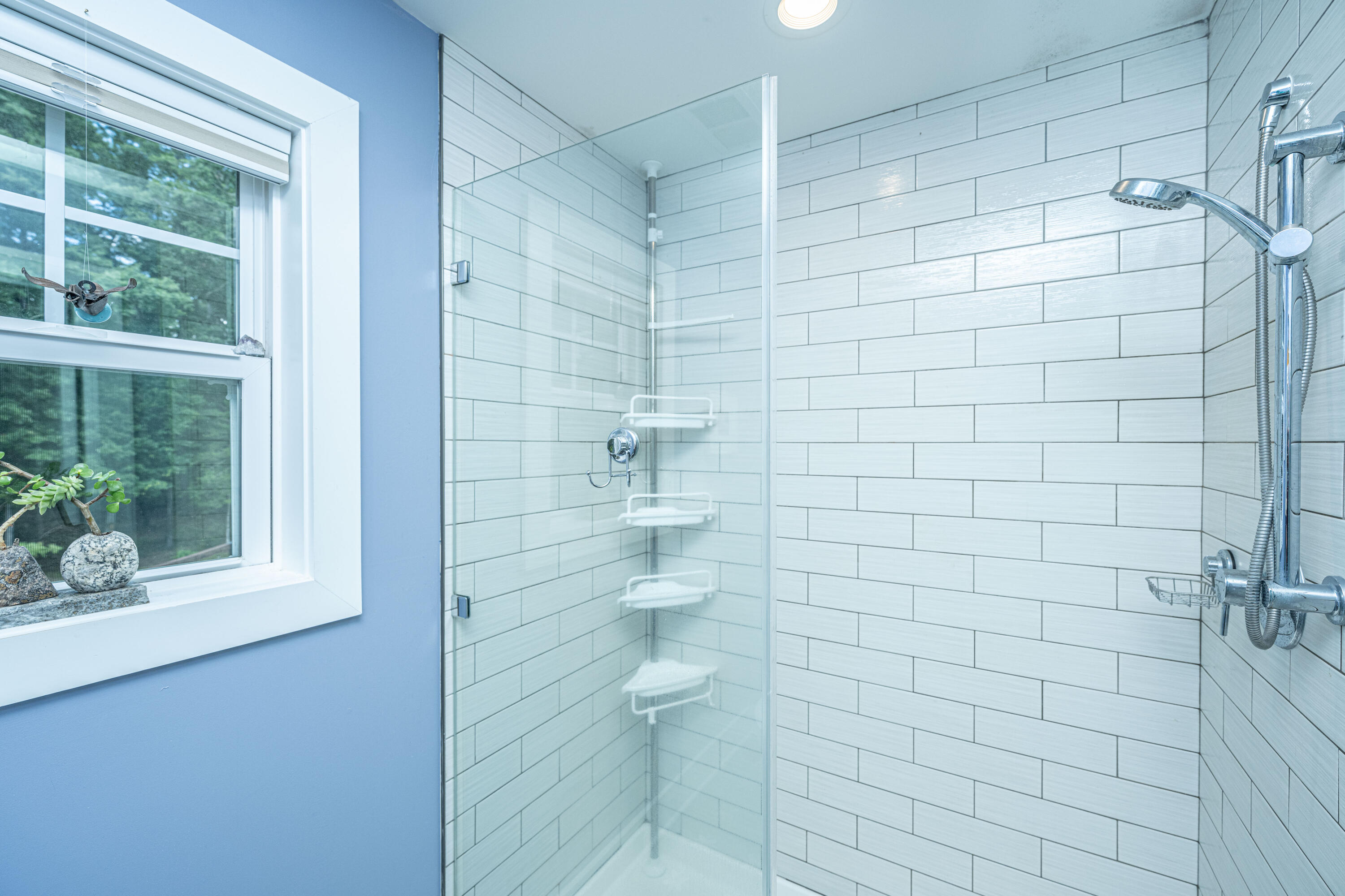 6429 Pepper Grass Trail