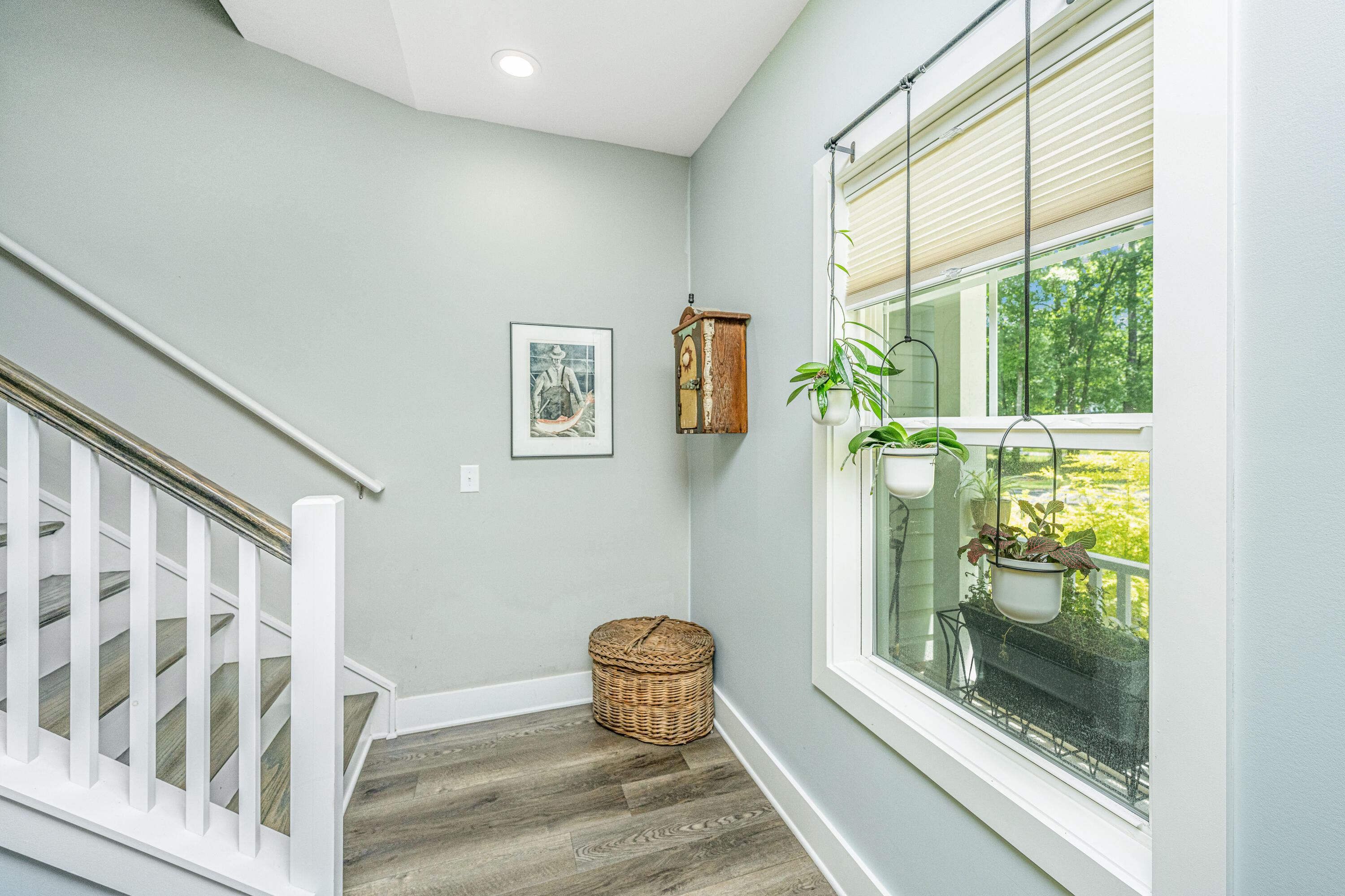 6429 Pepper Grass Trail