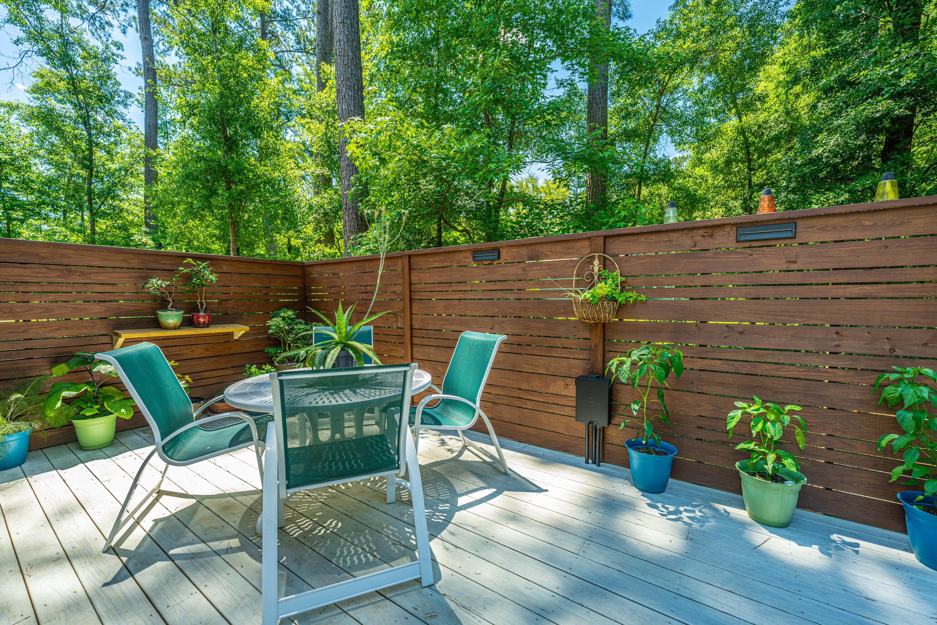 6429 Pepper Grass Trail