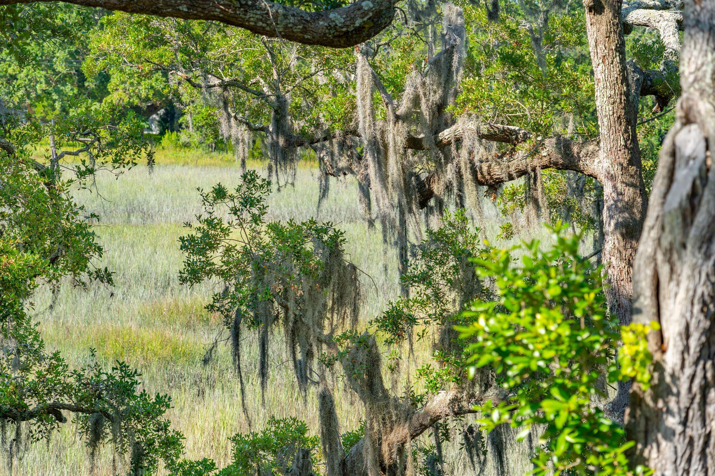 1578 Charming Nancy Road