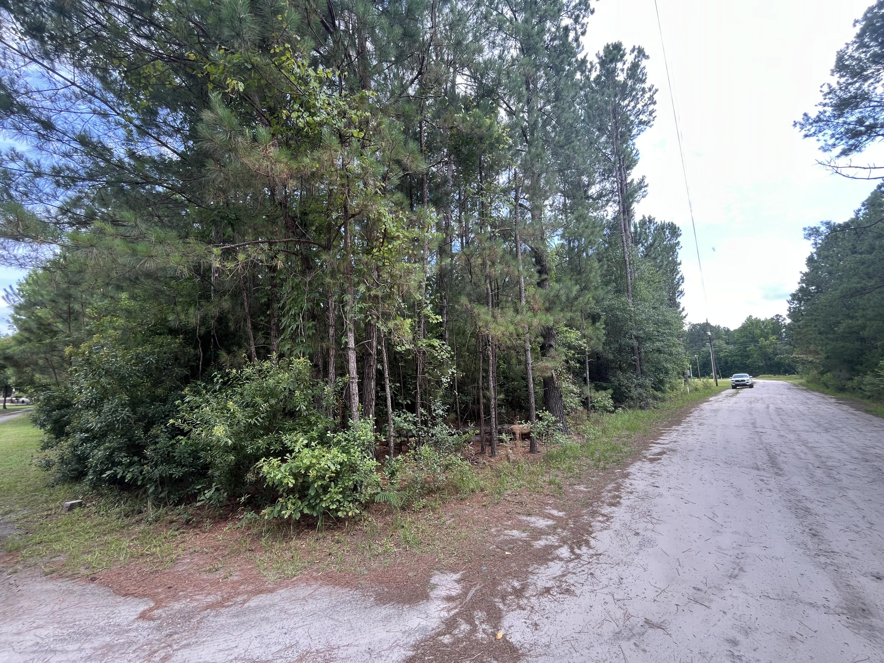 398 Pond Town Road