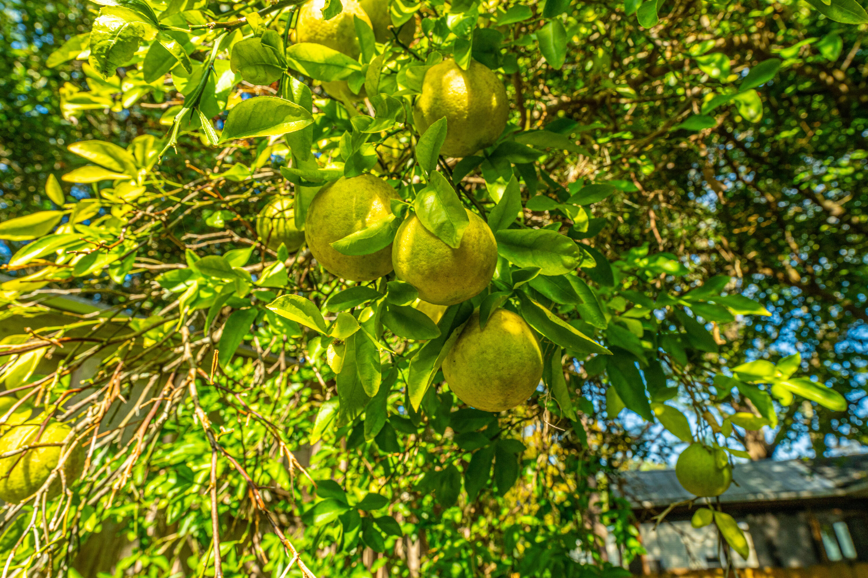 1711 River Front Drive