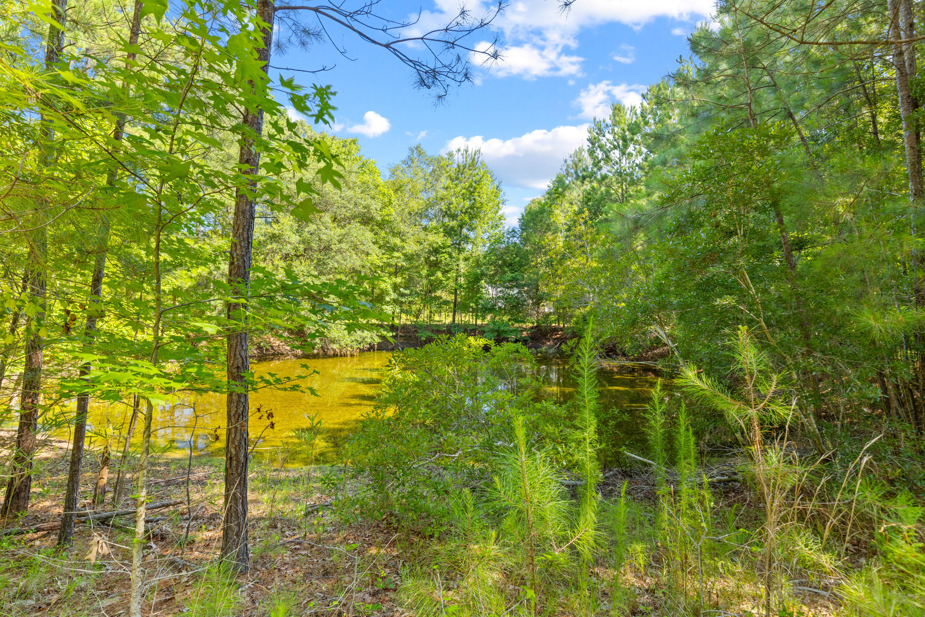 4663 Lazy Creek Lane