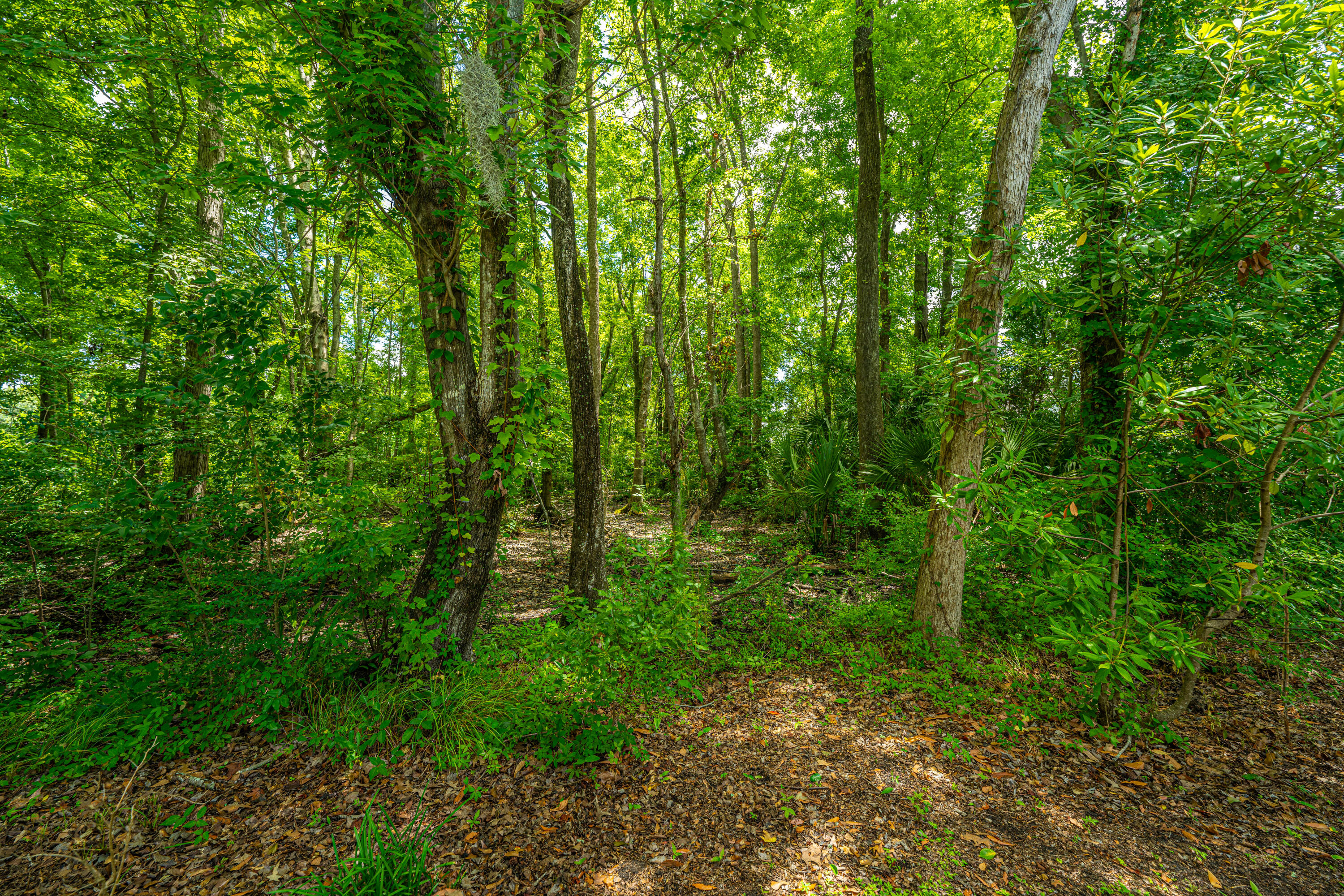 3416 Farmers Market Drive Drive