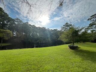 8272 Palmetto Road